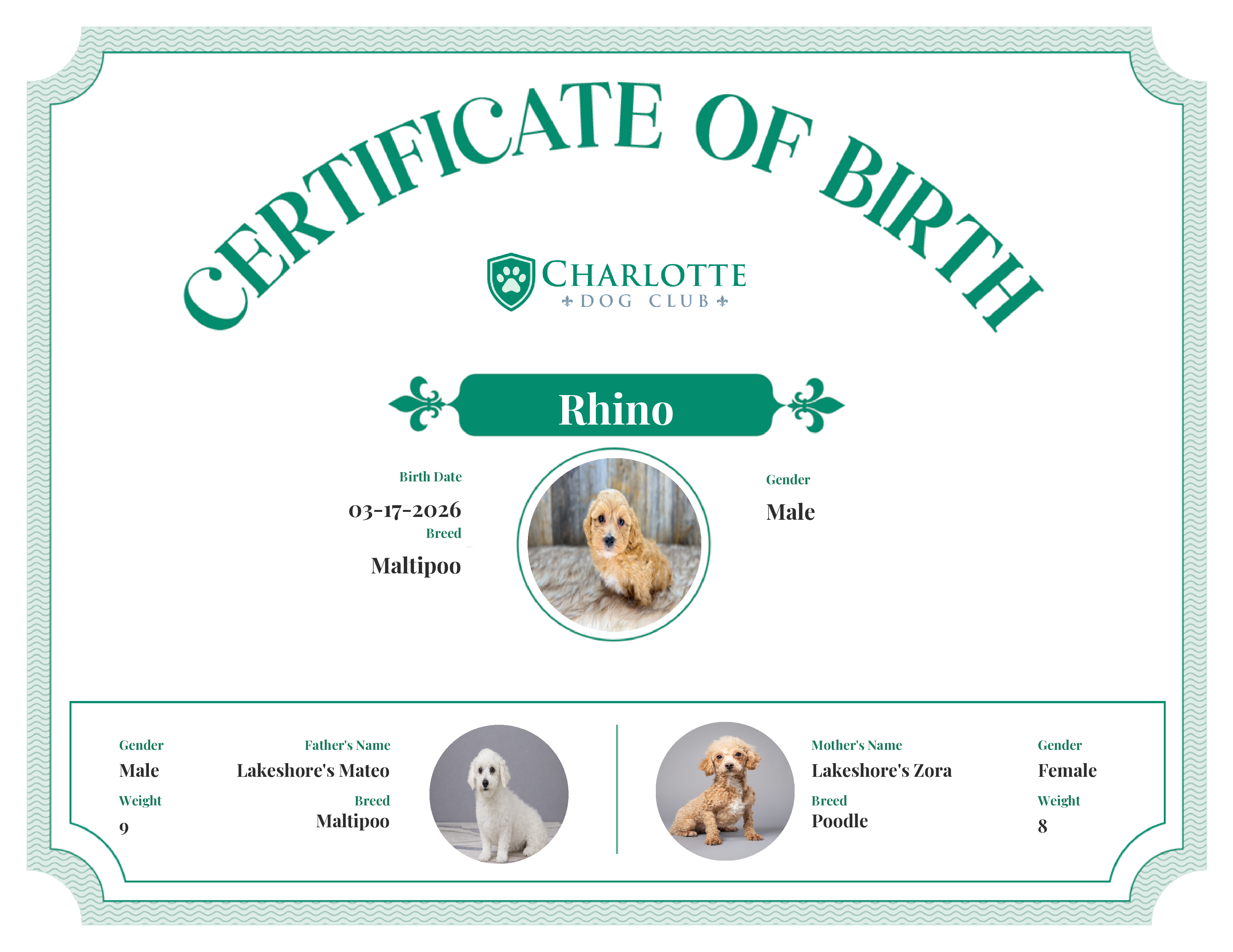 Rhino's Birth Certificate