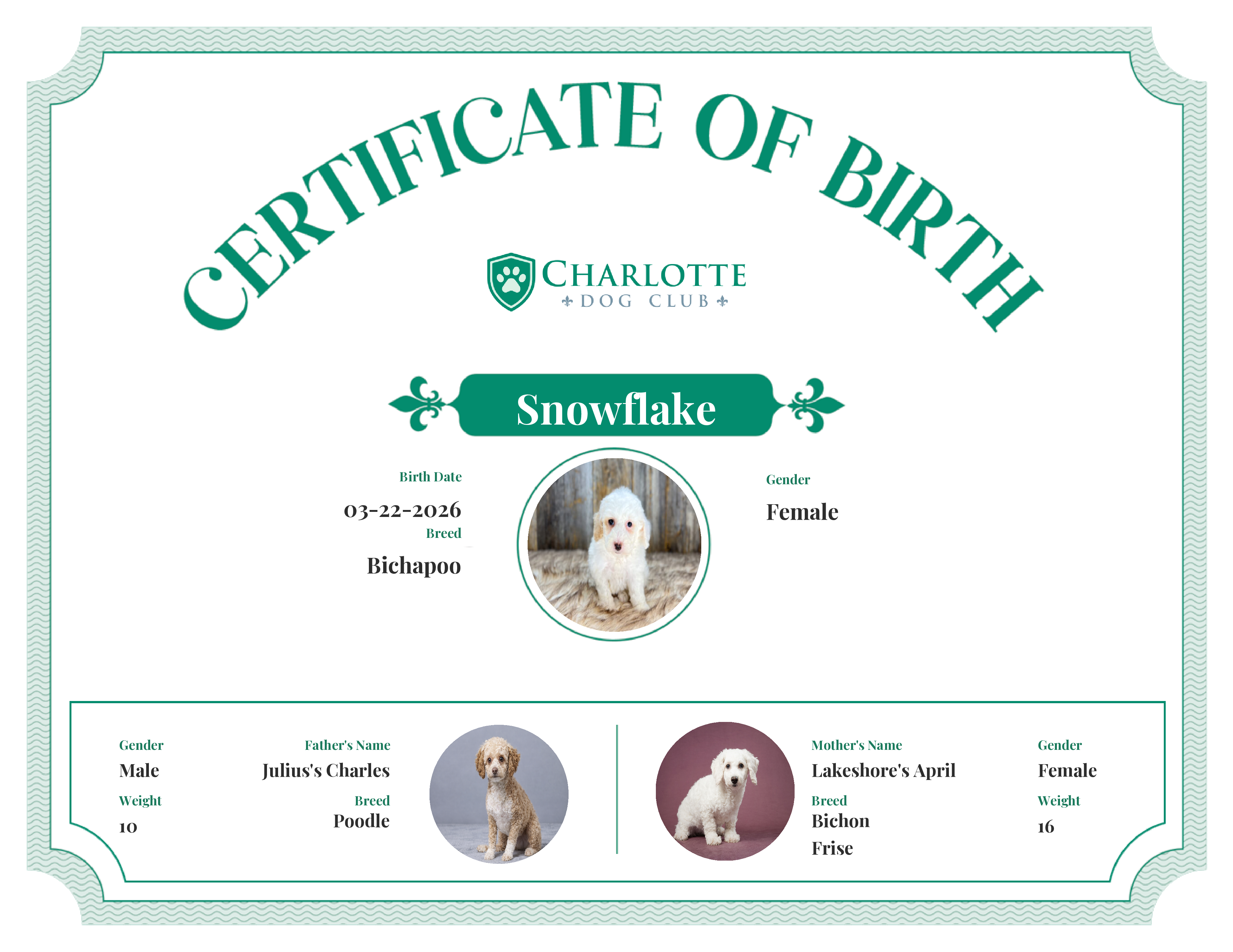 Snowflake's Birth Certificate