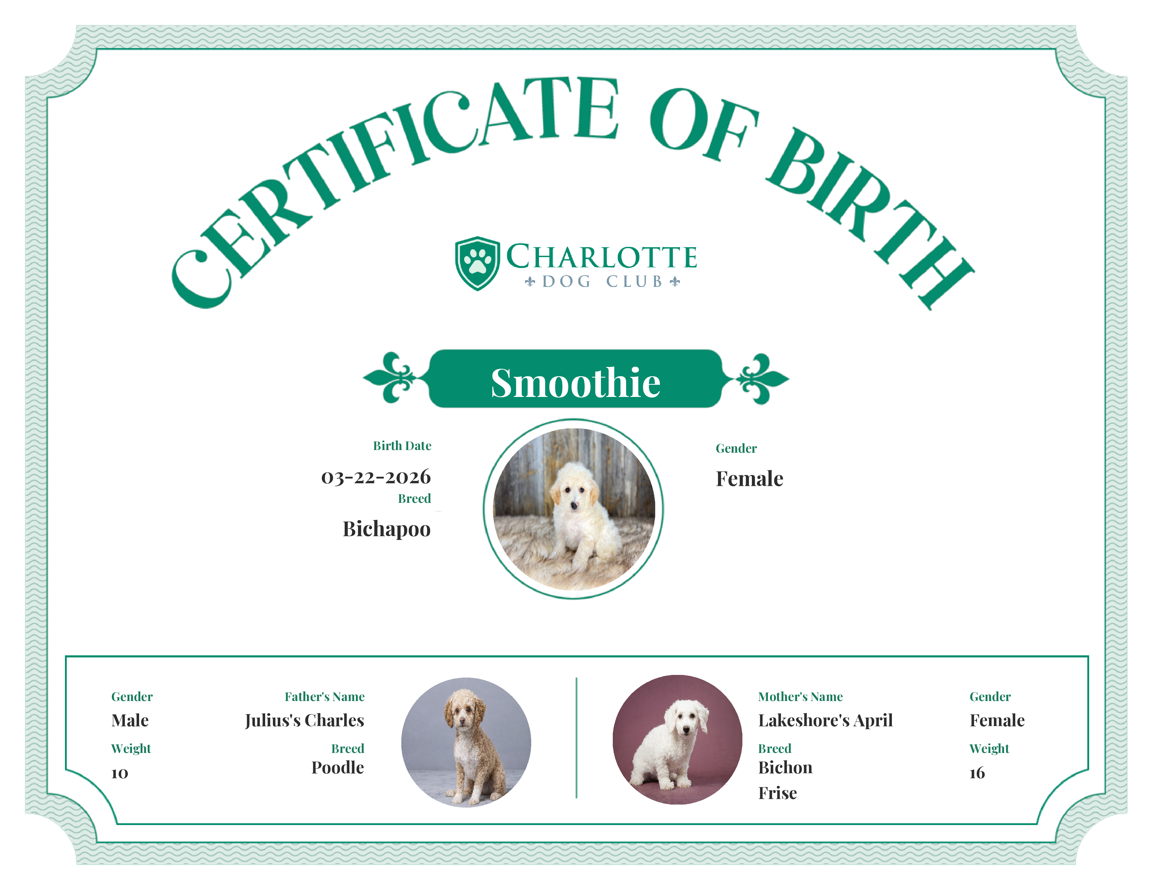 Smoothie's Birth Certificate