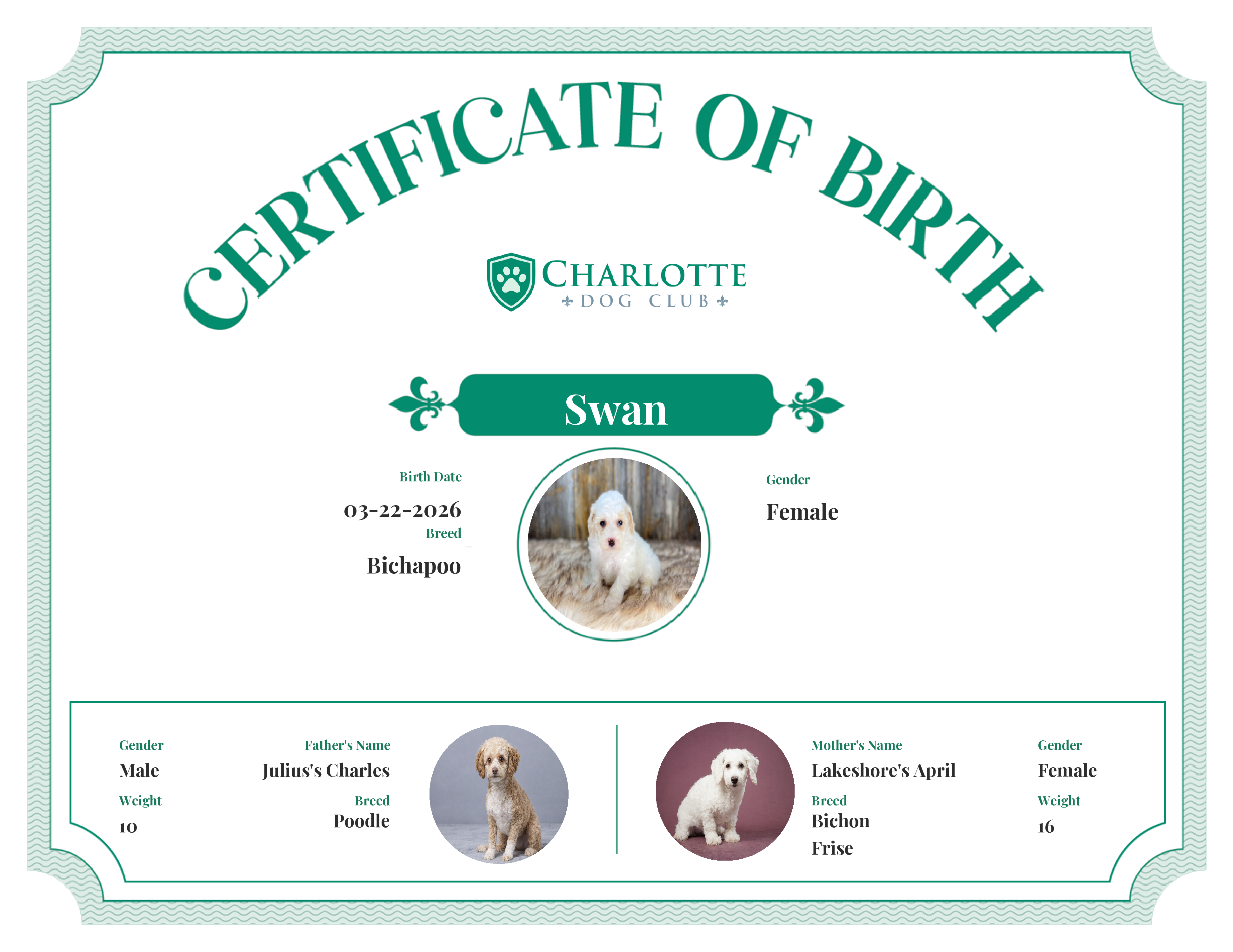 Swan's Birth Certificate