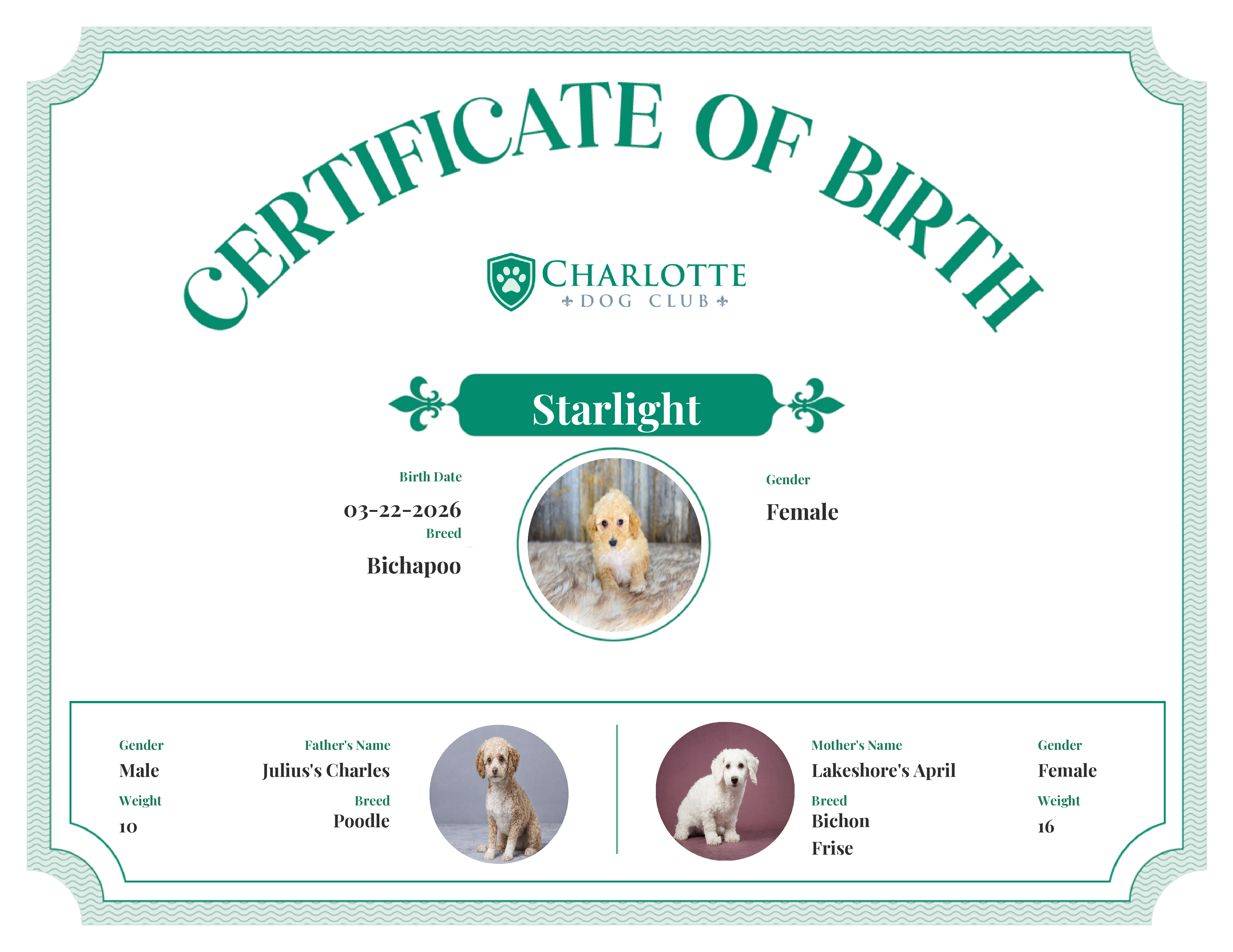 Starlight's Birth Certificate