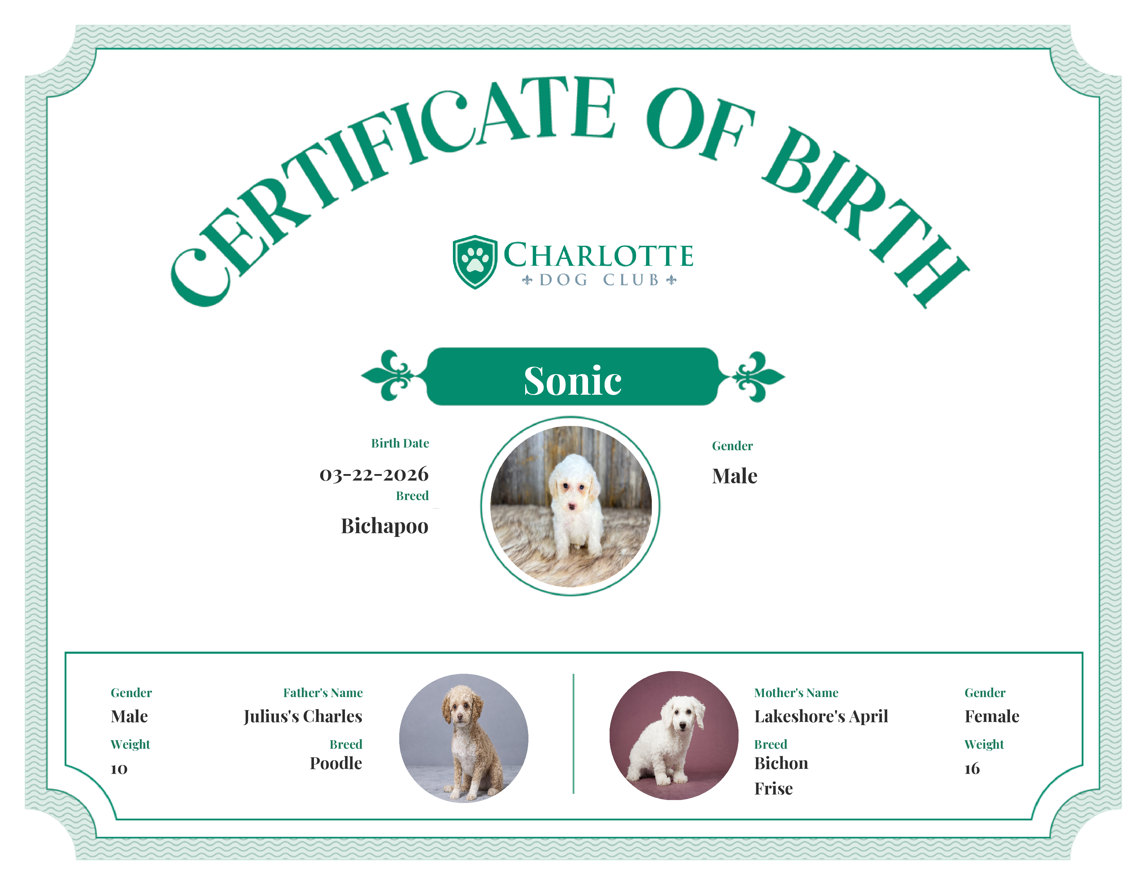 Sonic's Birth Certificate