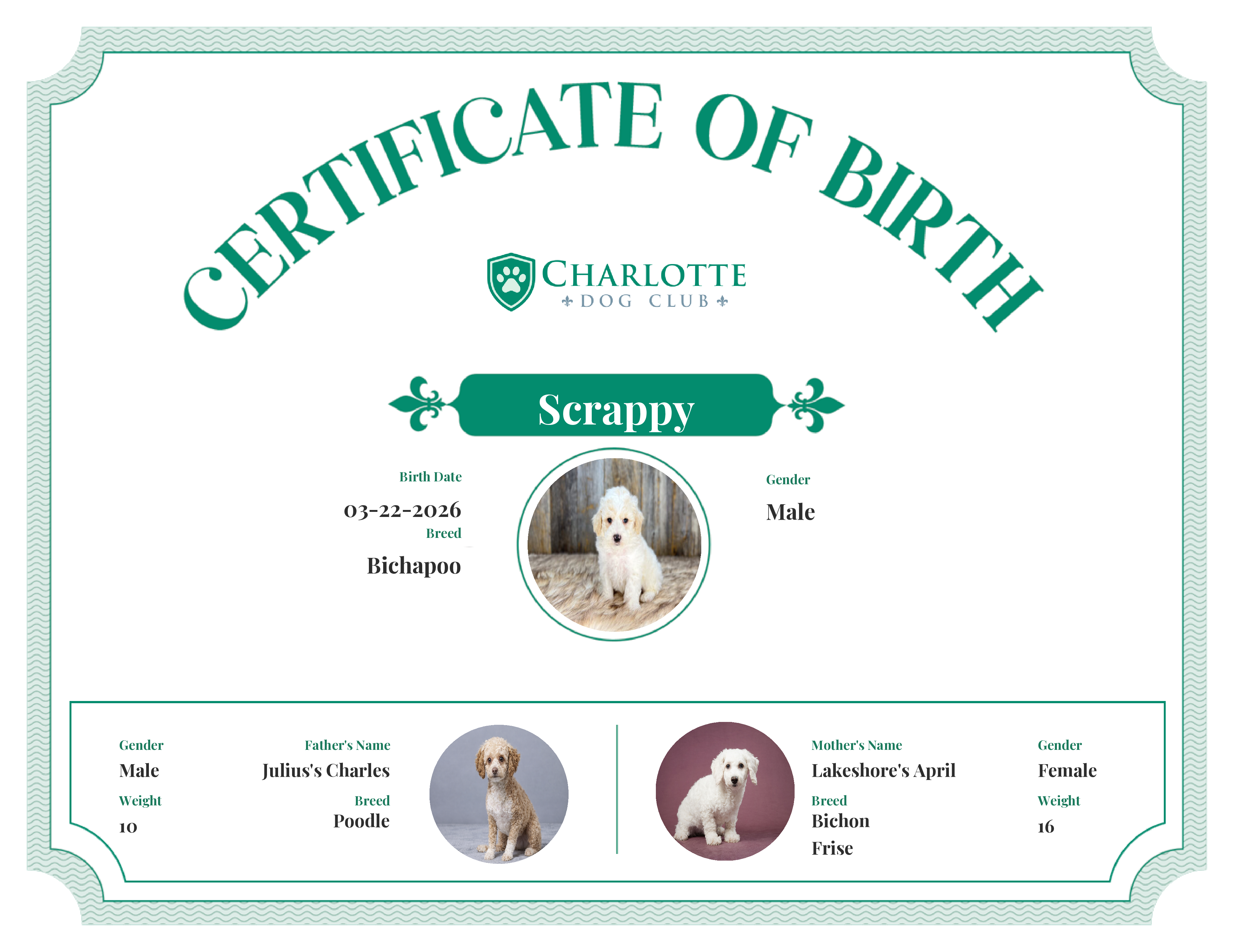 Scrappy's Birth Certificate