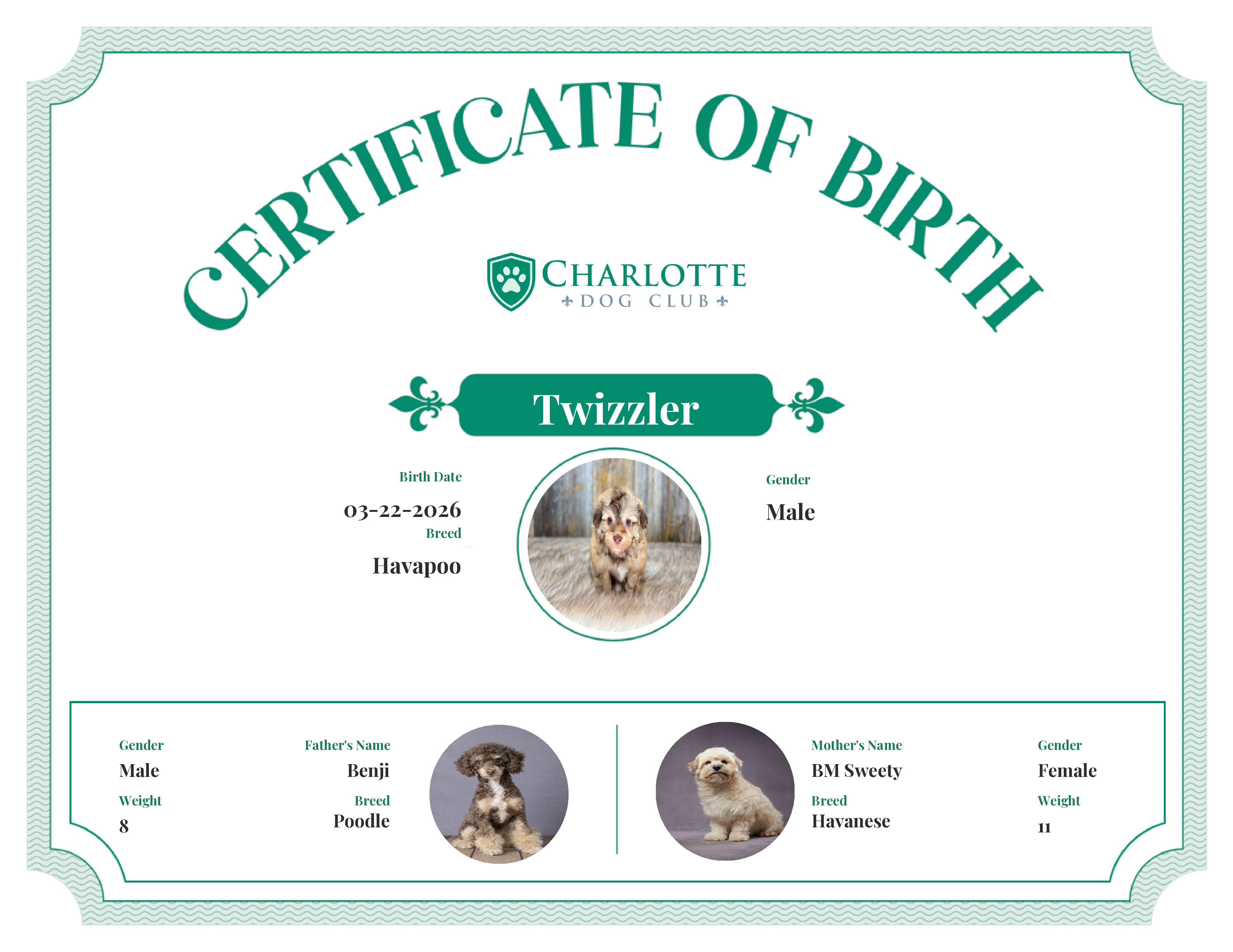 Twizzler's Birth Certificate