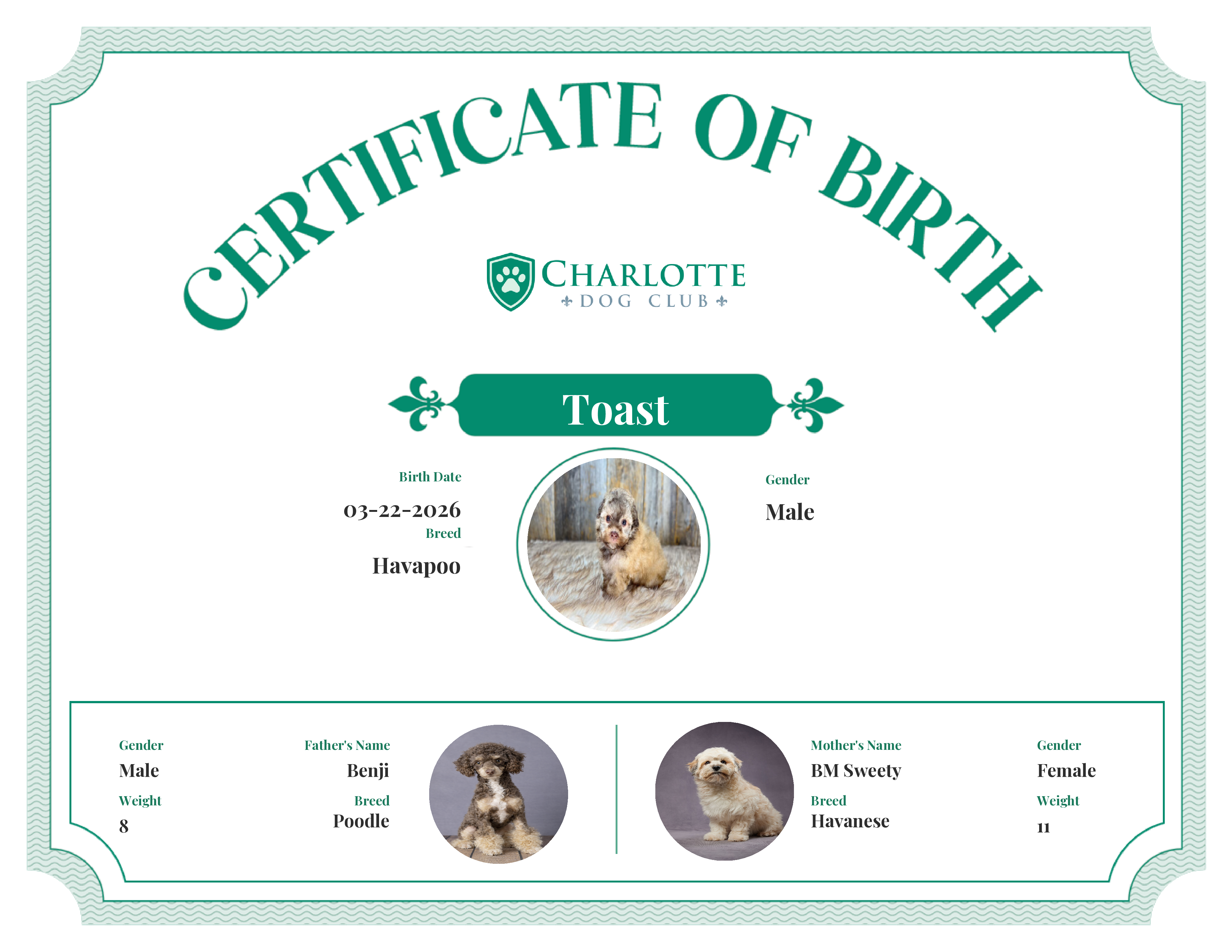 Toast's Birth Certificate