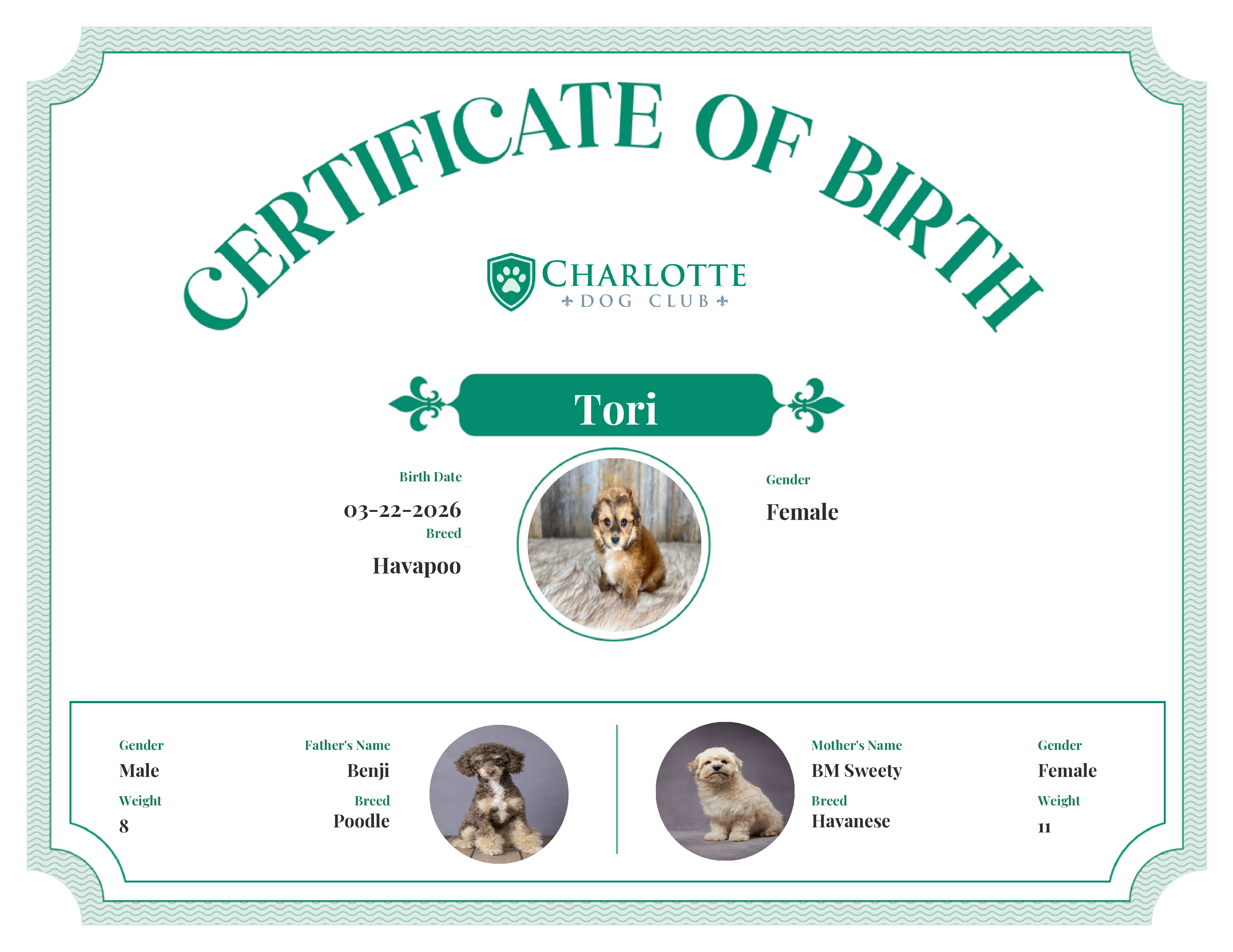 Tori's Birth Certificate