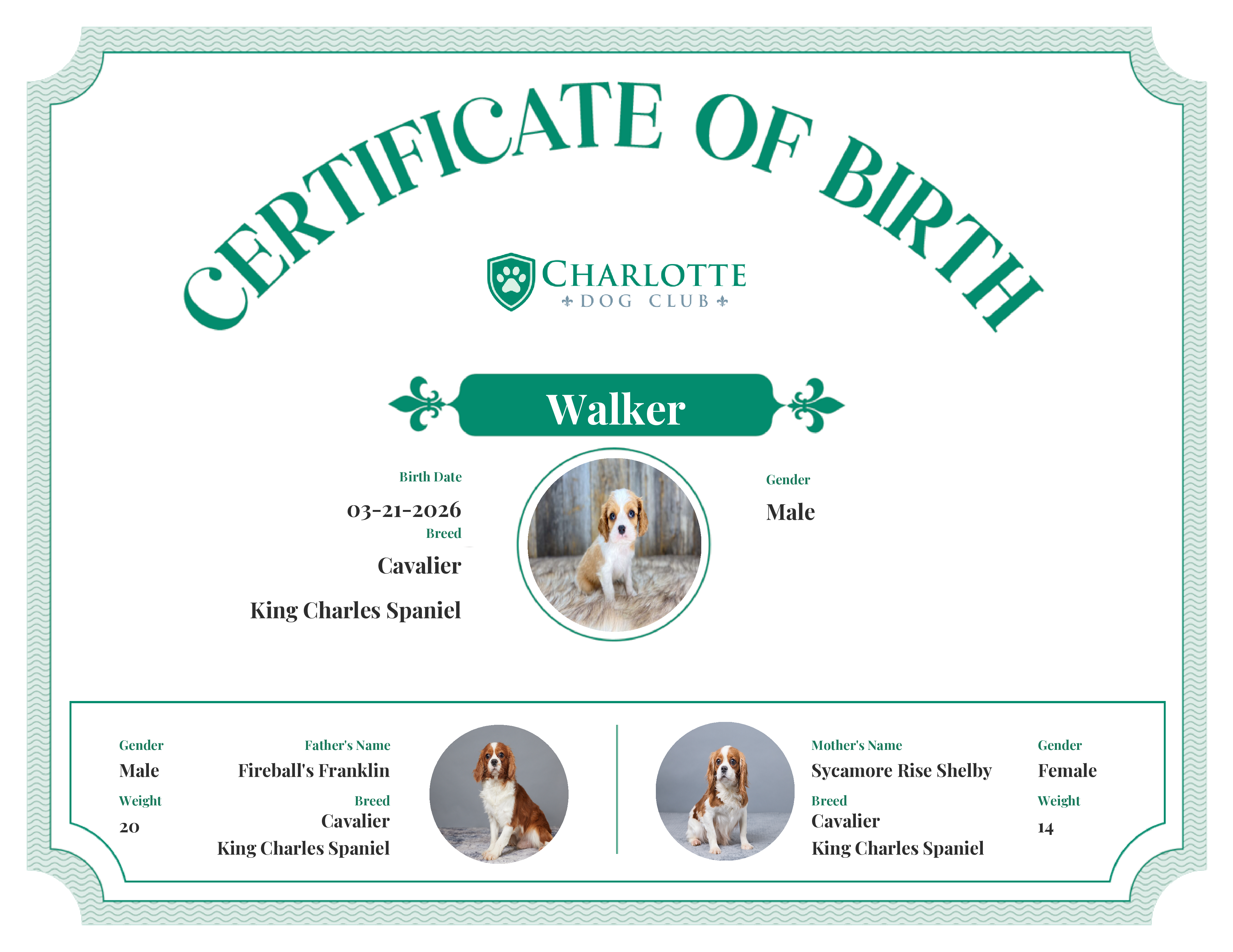 Walker's Birth Certificate