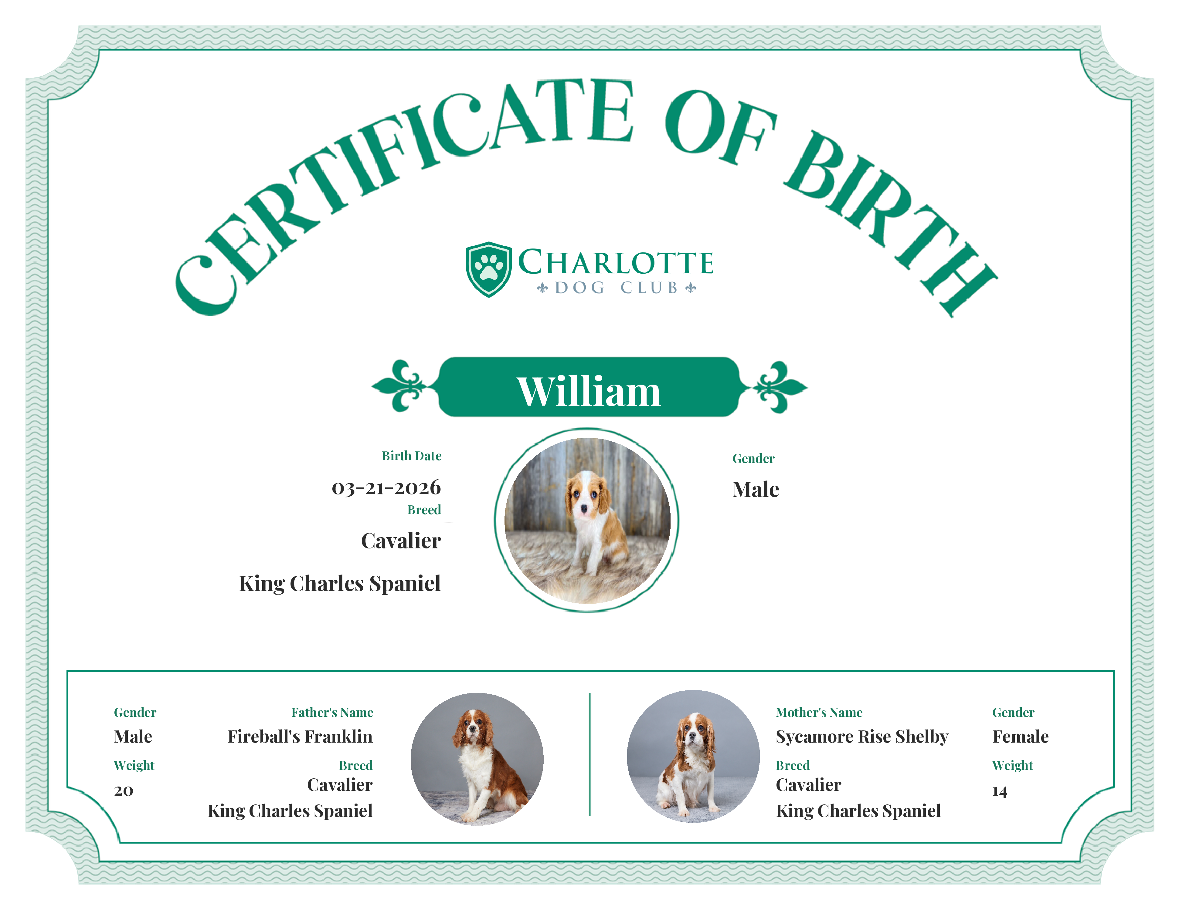 William's Birth Certificate