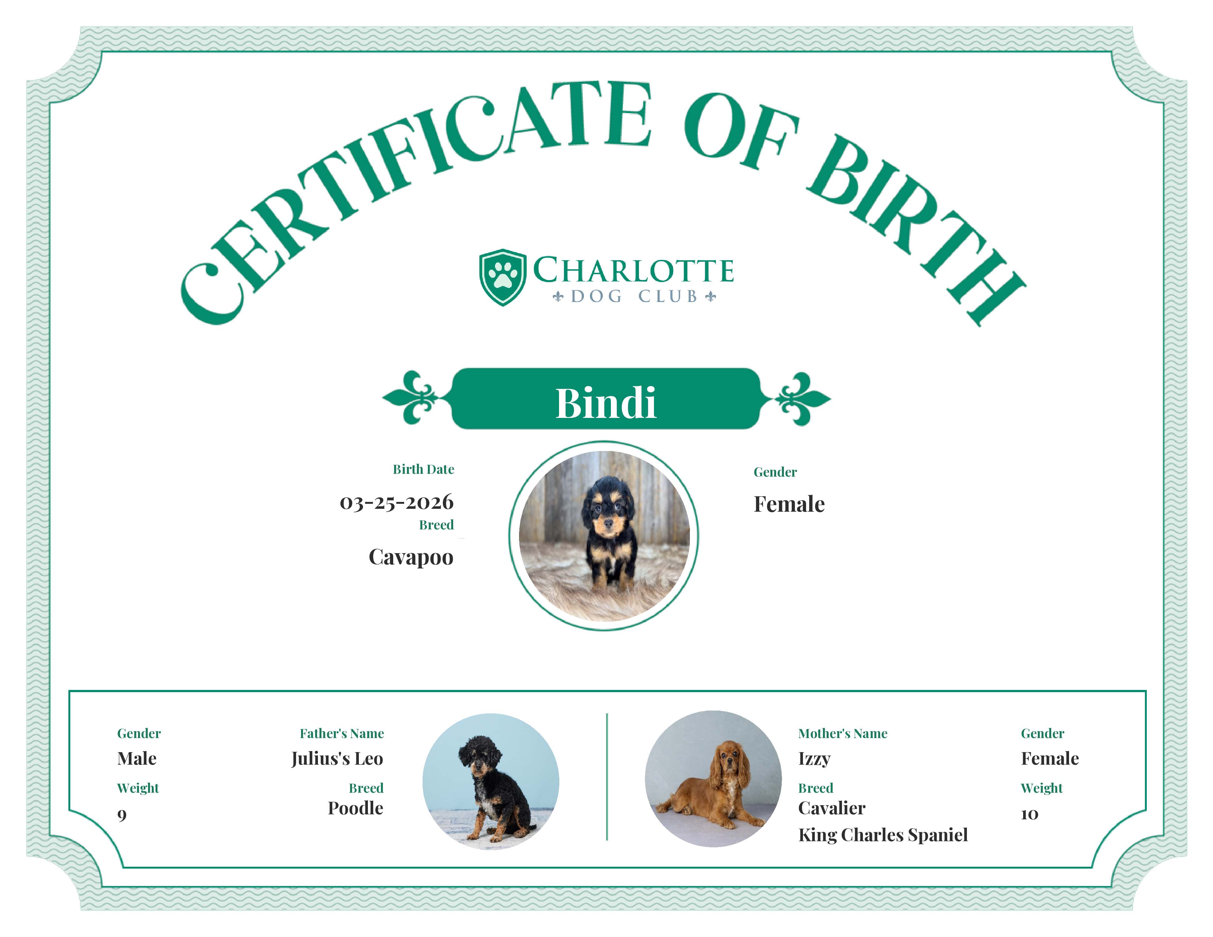 Bindi's Birth Certificate