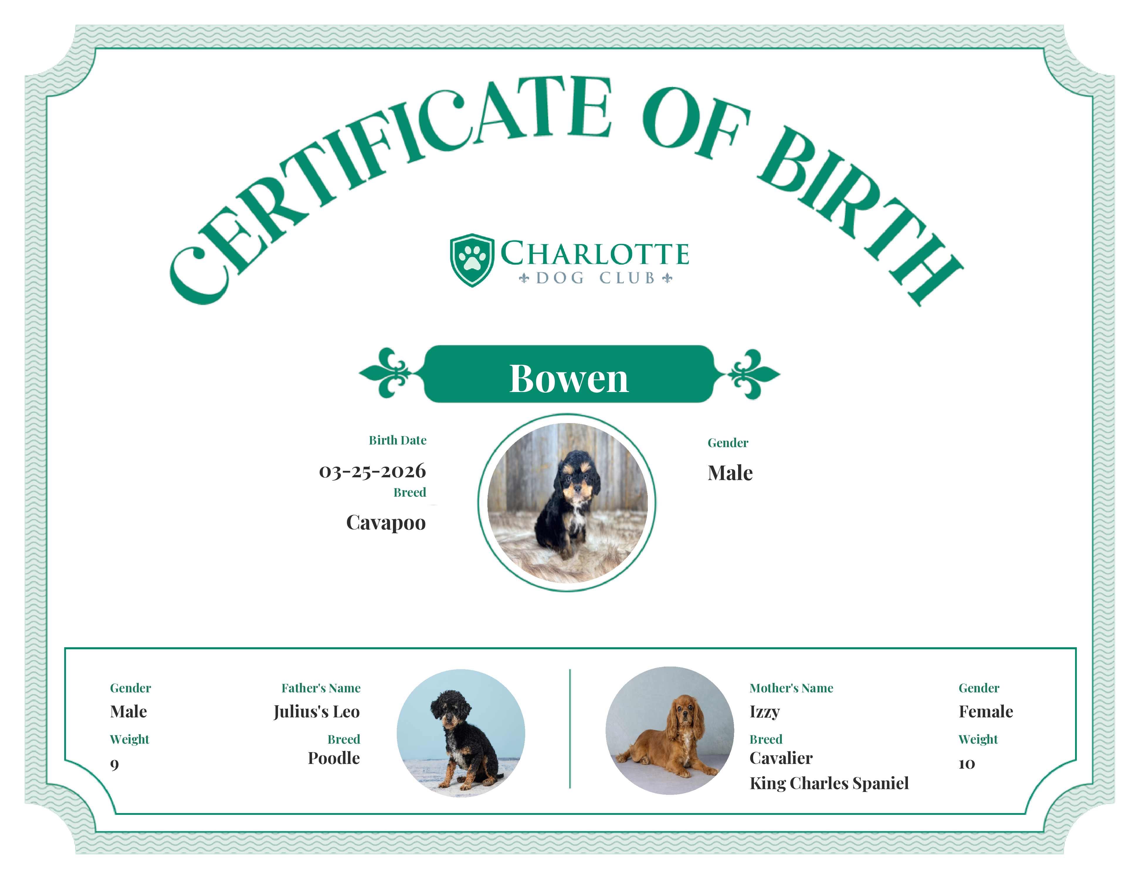 Bowen's Birth Certificate