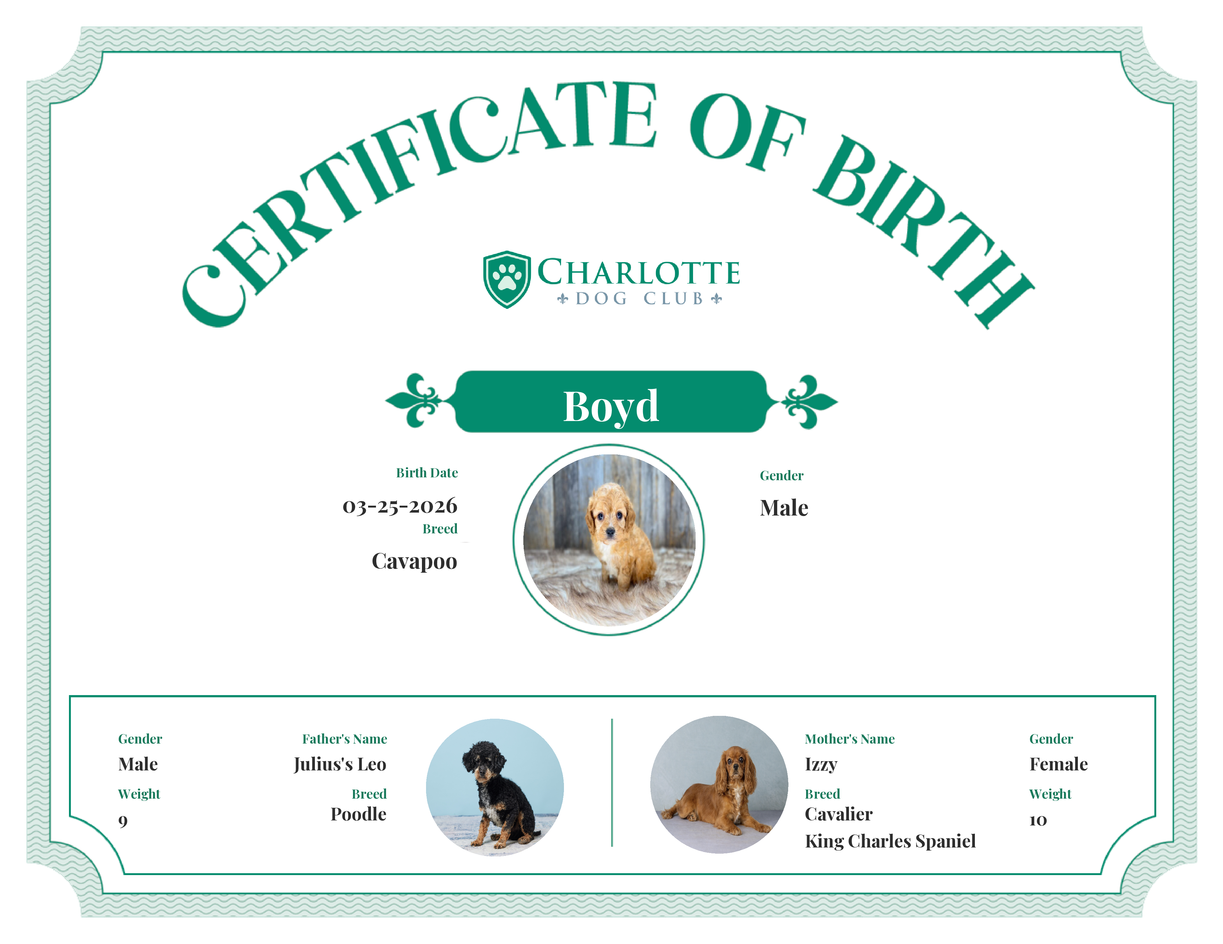 Boyd's Birth Certificate