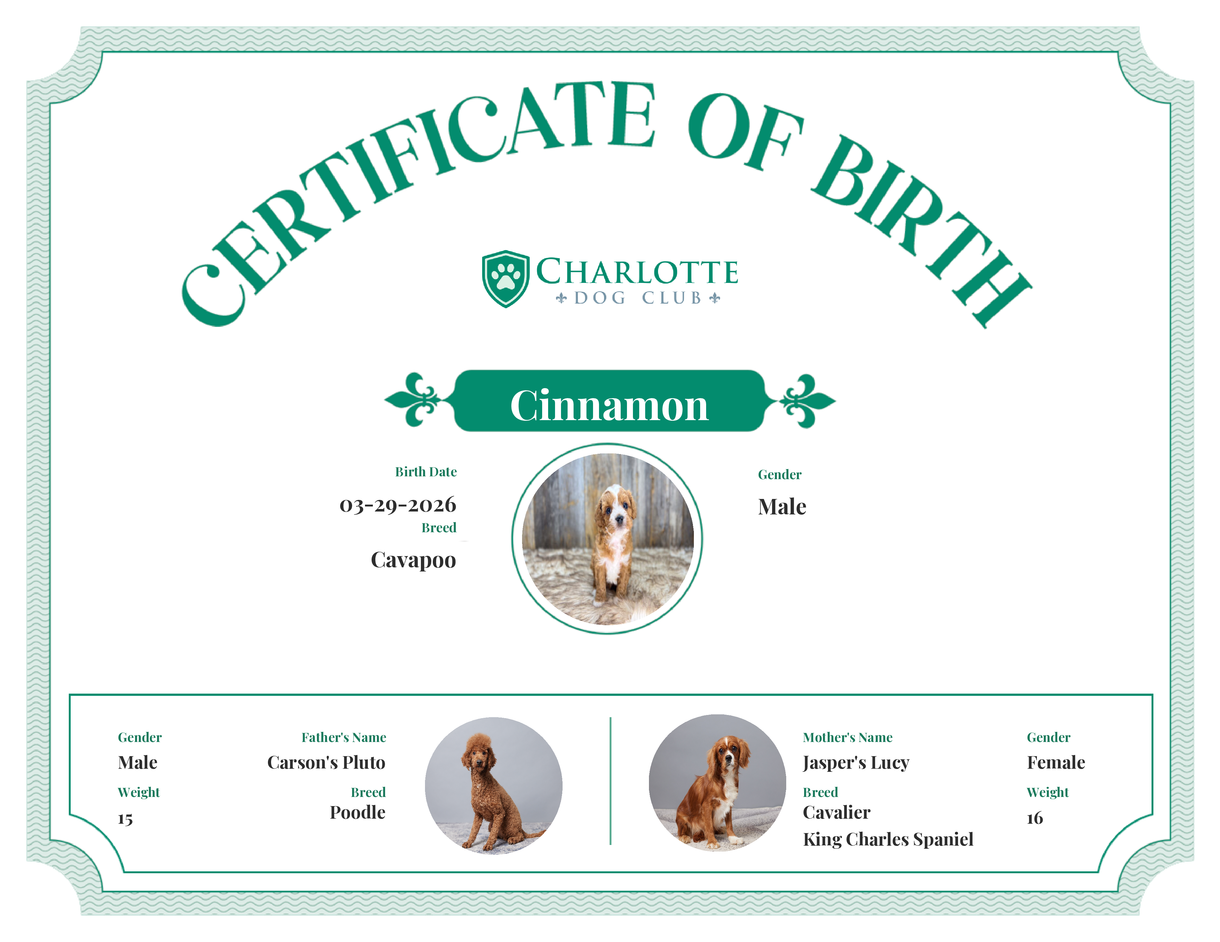 Cinnamon's Birth Certificate