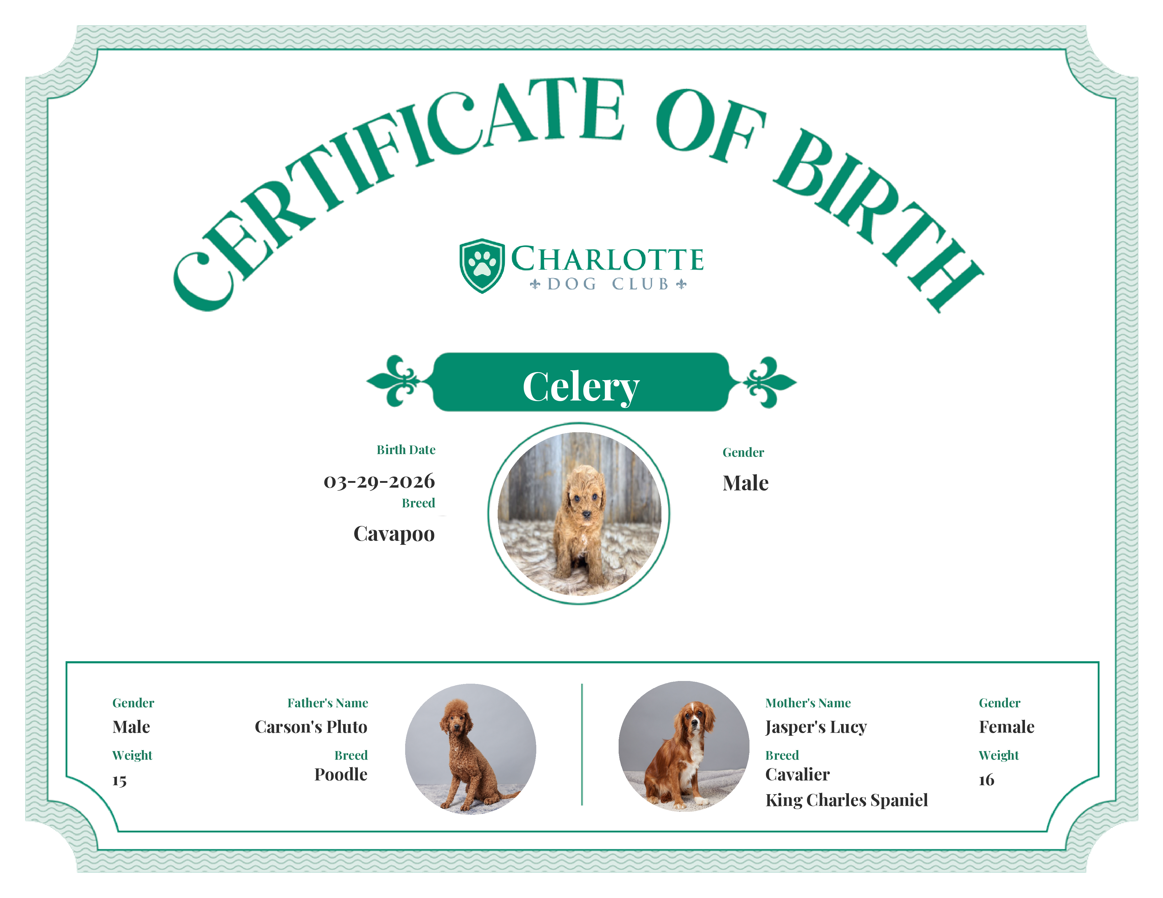 Celery's Birth Certificate
