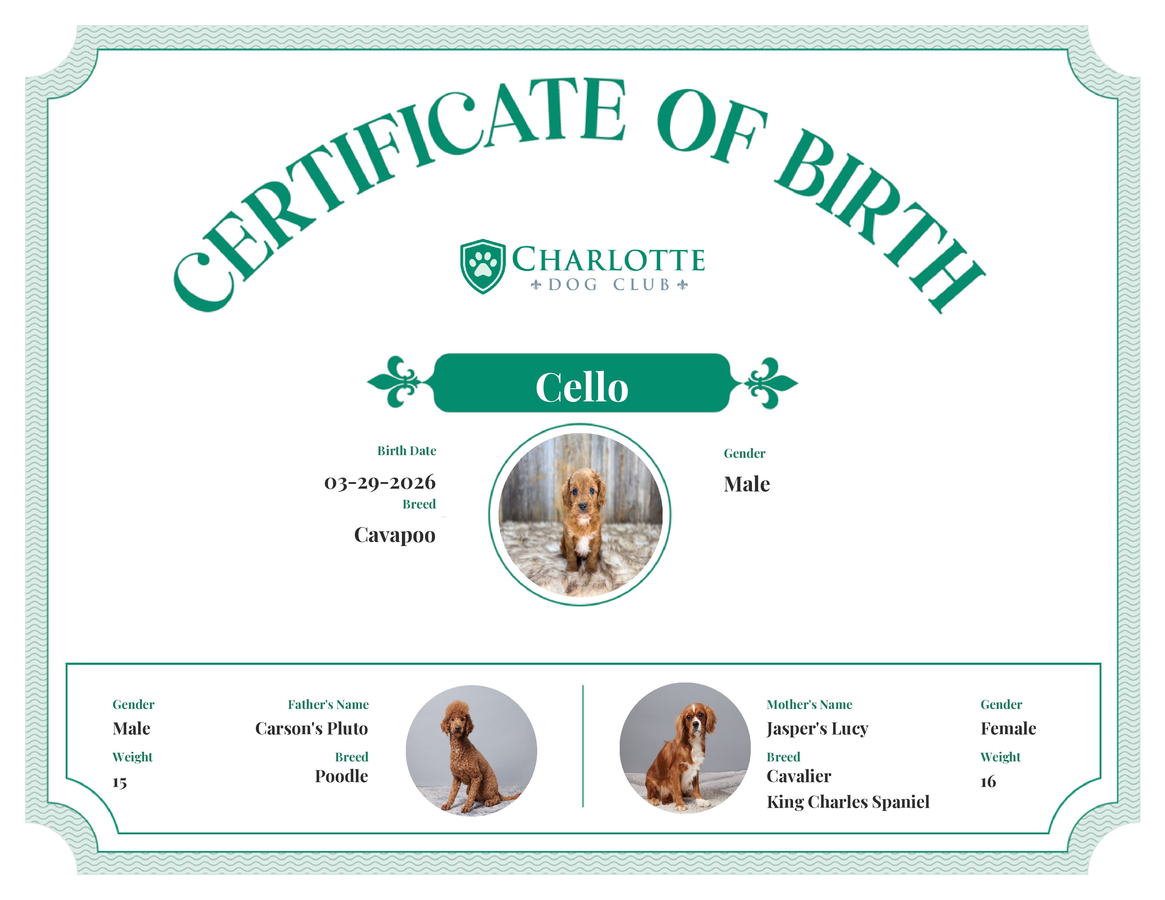 Cello's Birth Certificate