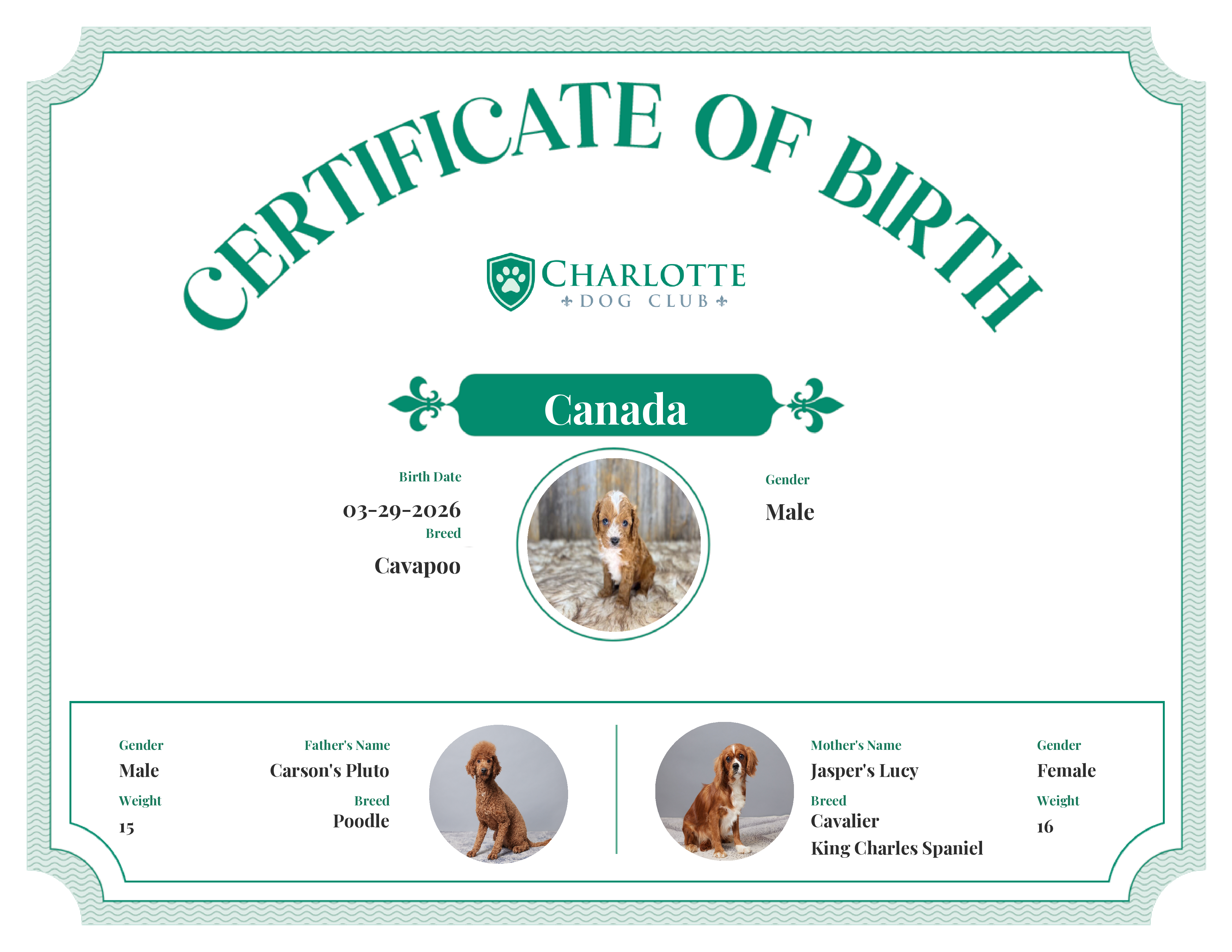 Canada's Birth Certificate