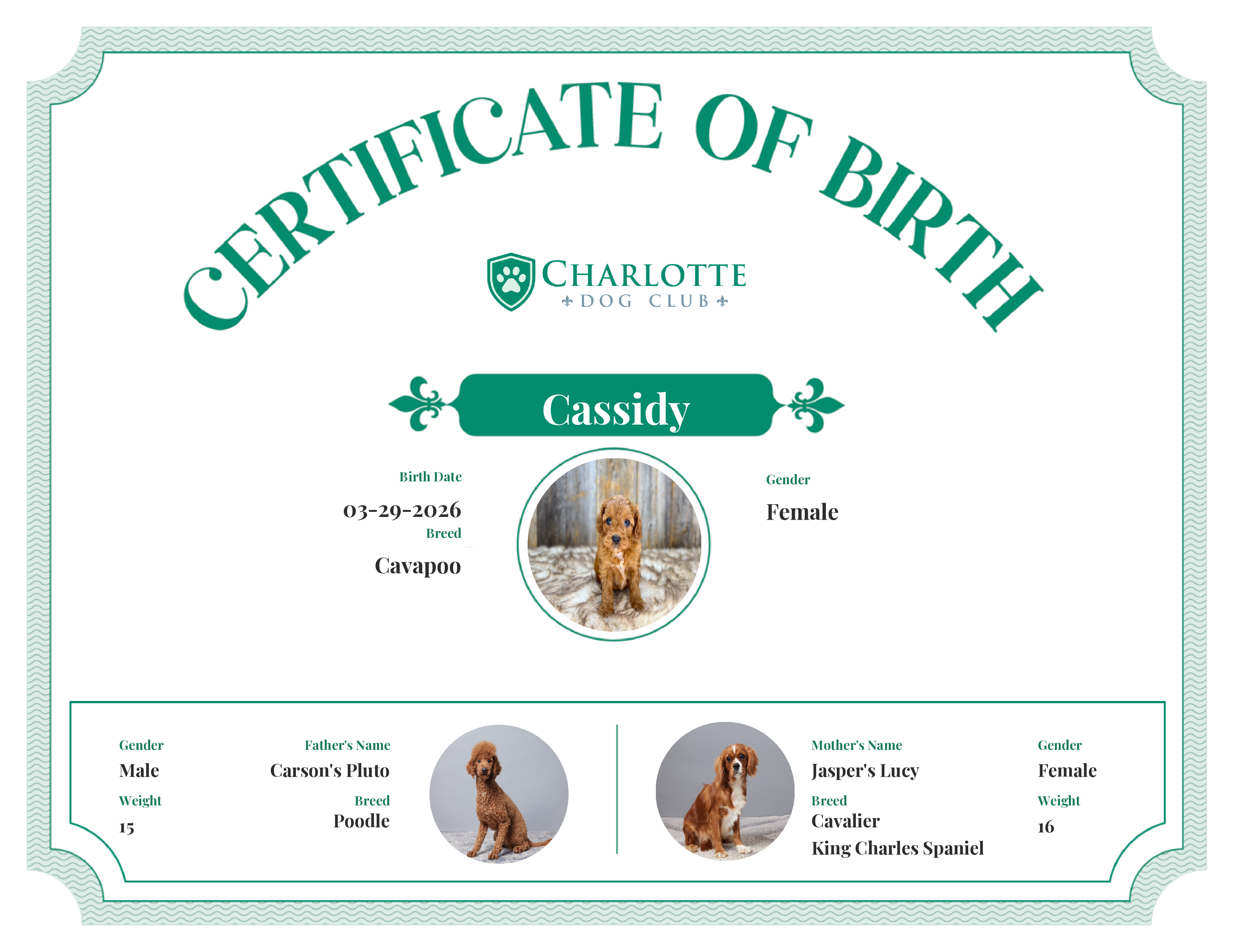 Cassidy's Birth Certificate