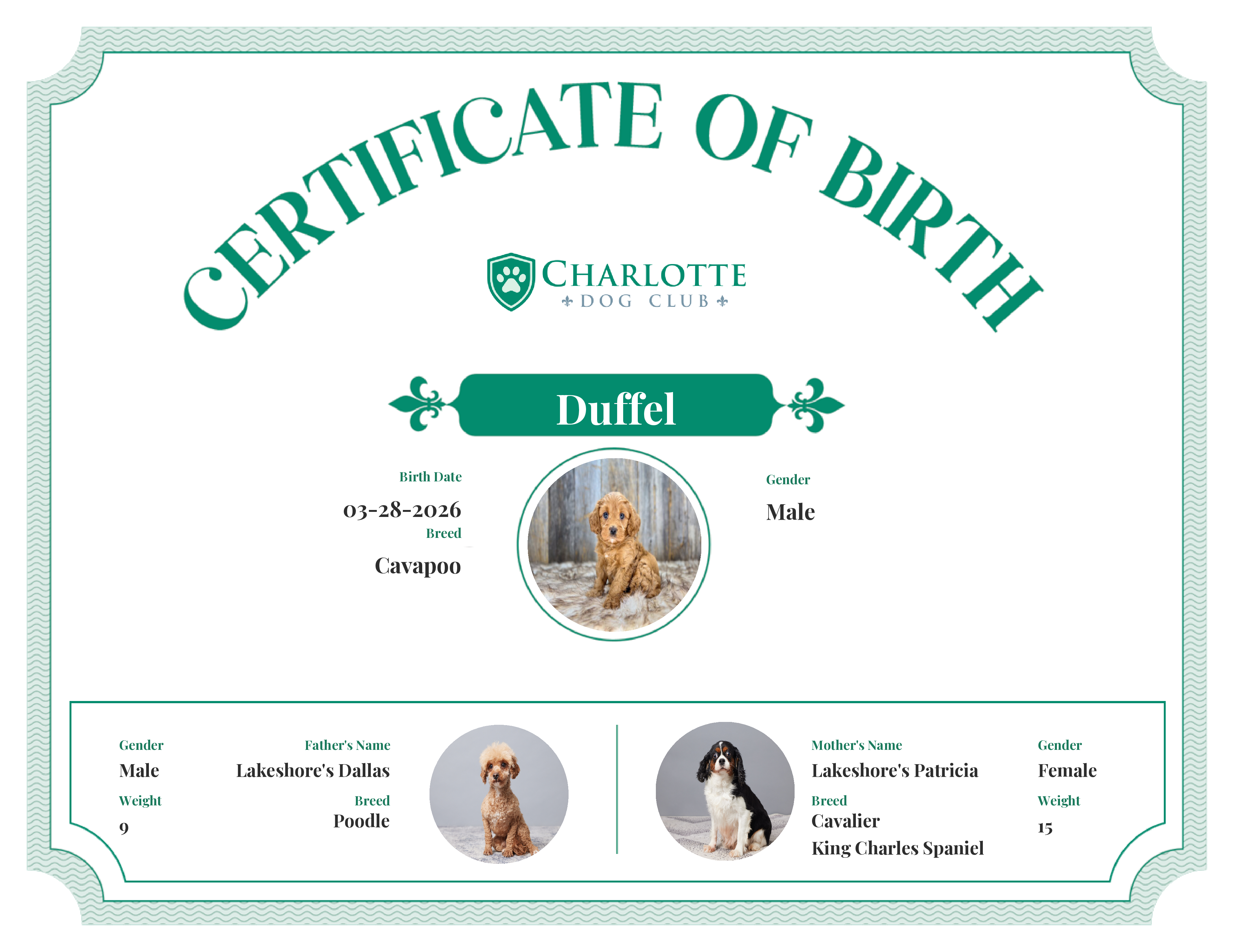 Duffel's Birth Certificate