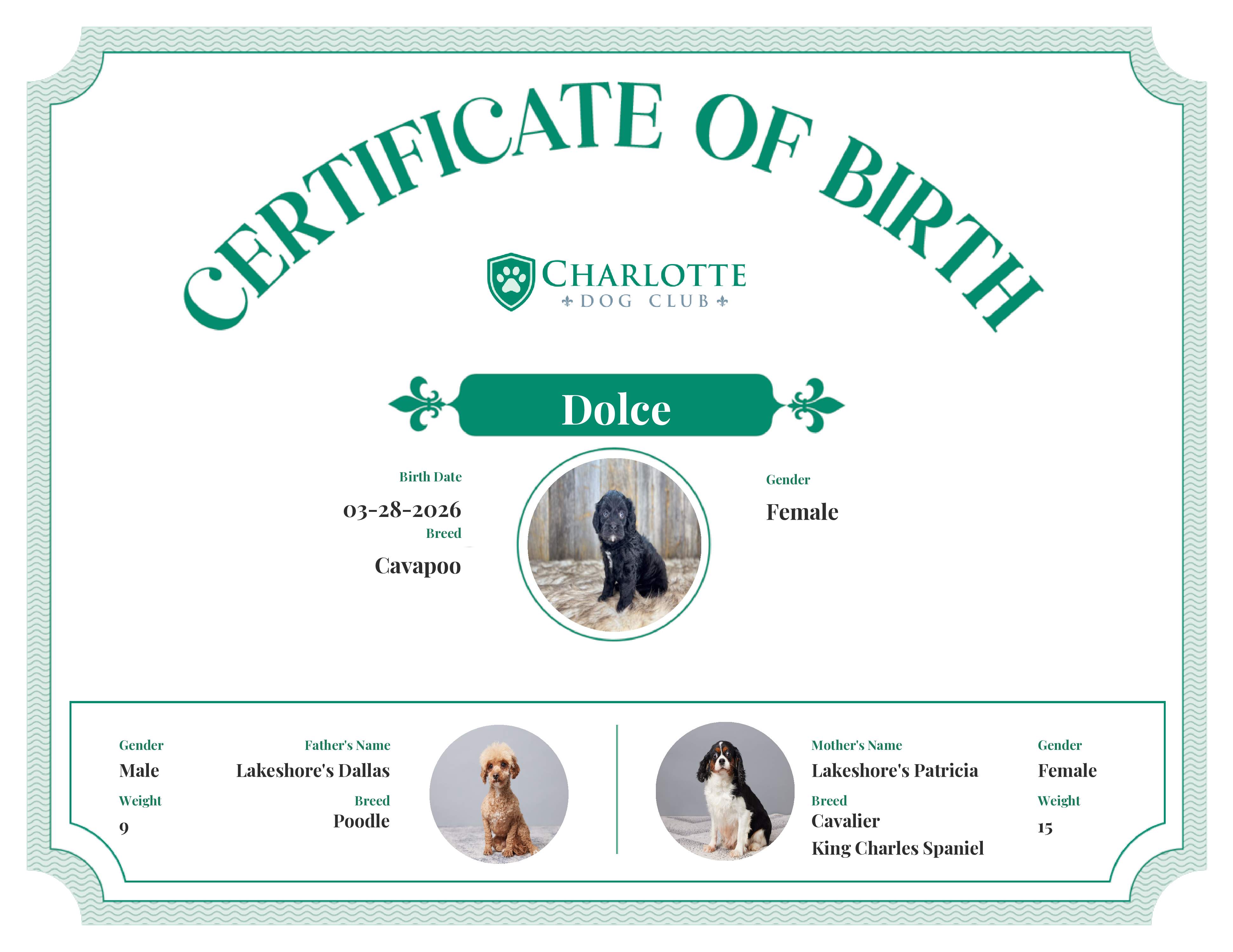 Dolce's Birth Certificate