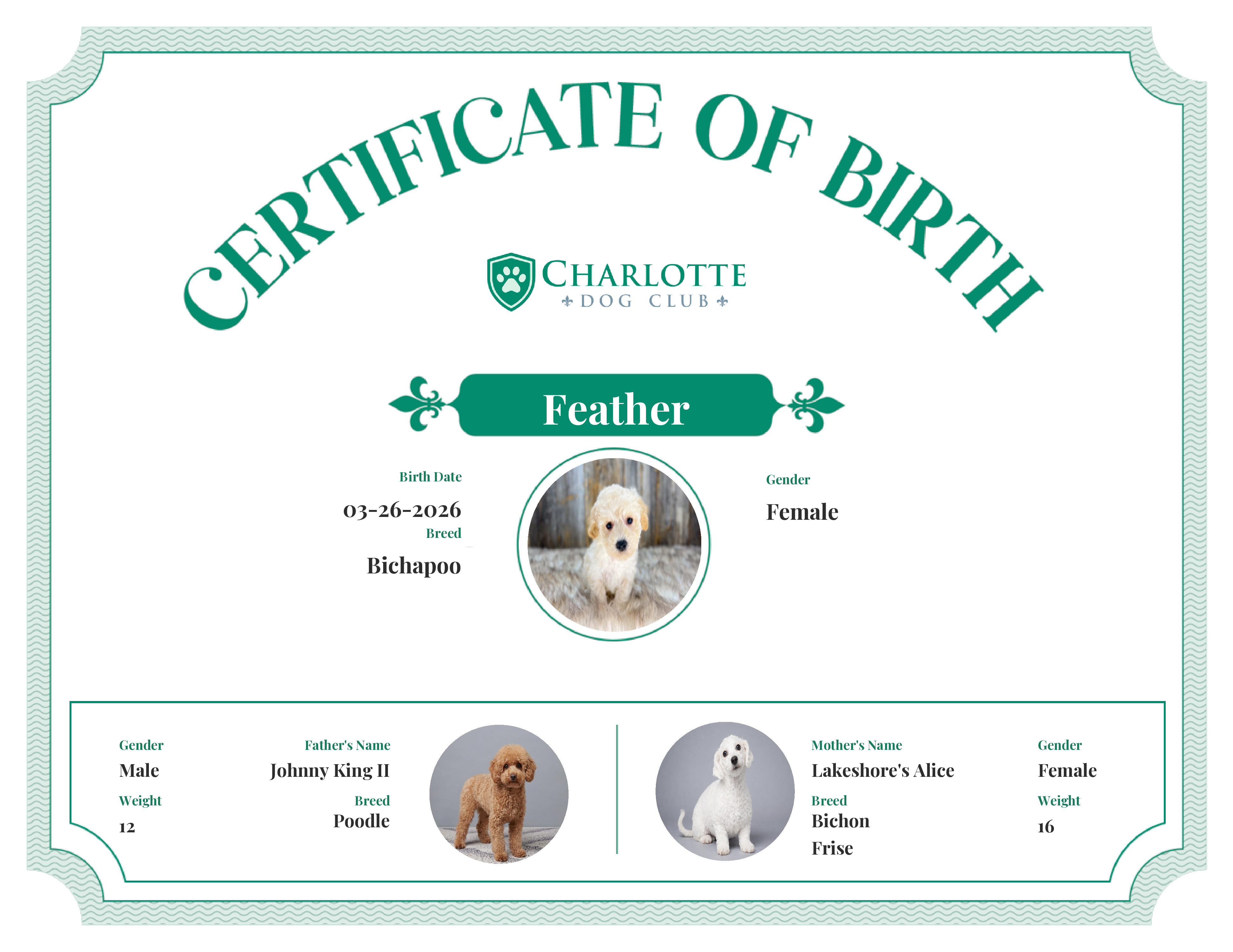 Feather's Birth Certificate