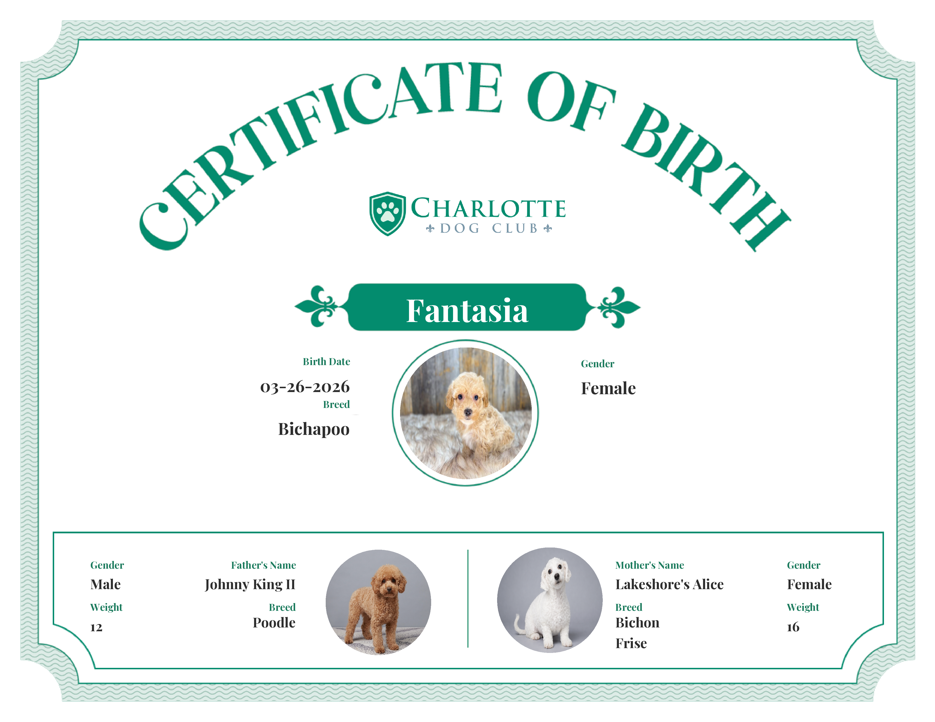 Fantasia's Birth Certificate