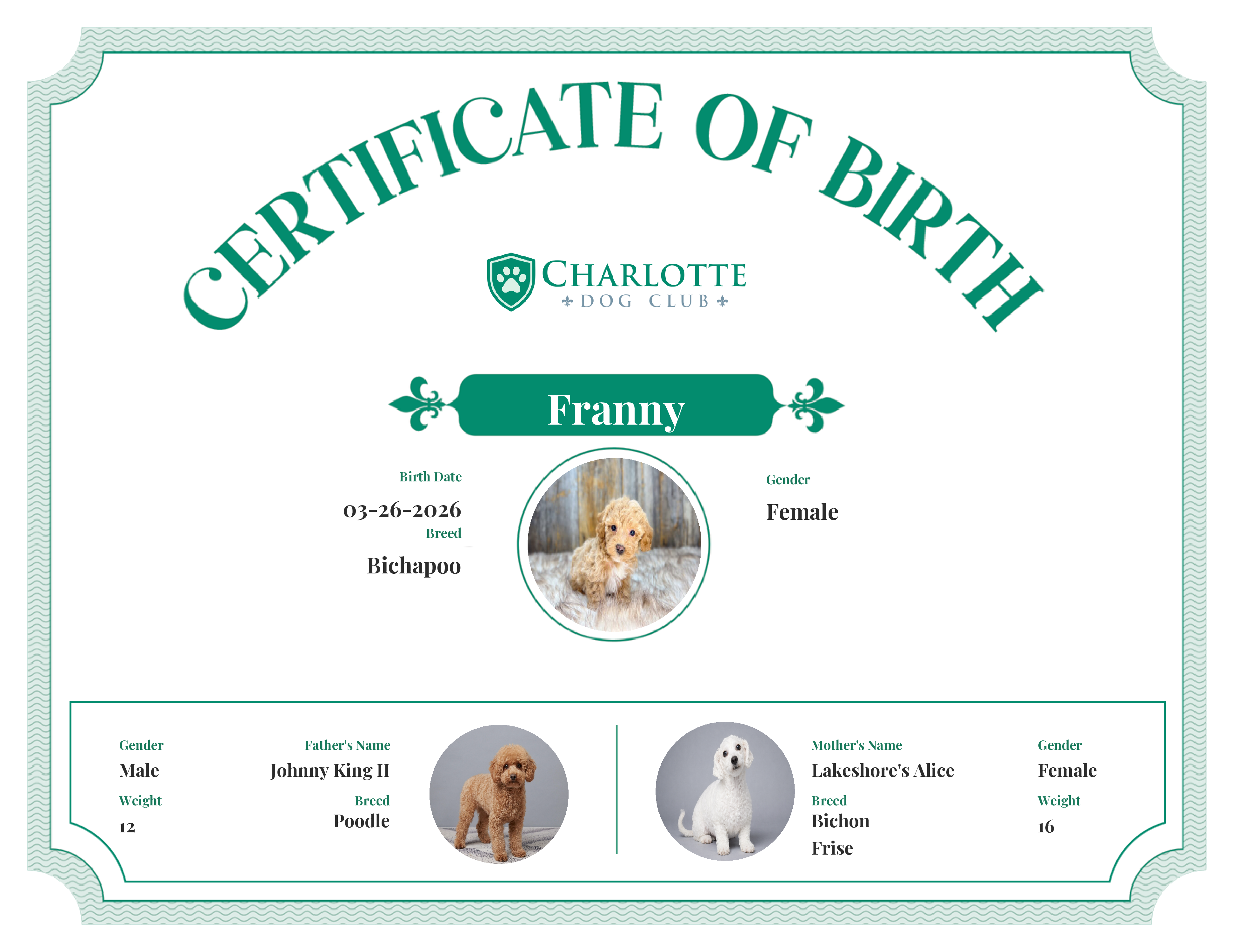 Franny's Birth Certificate