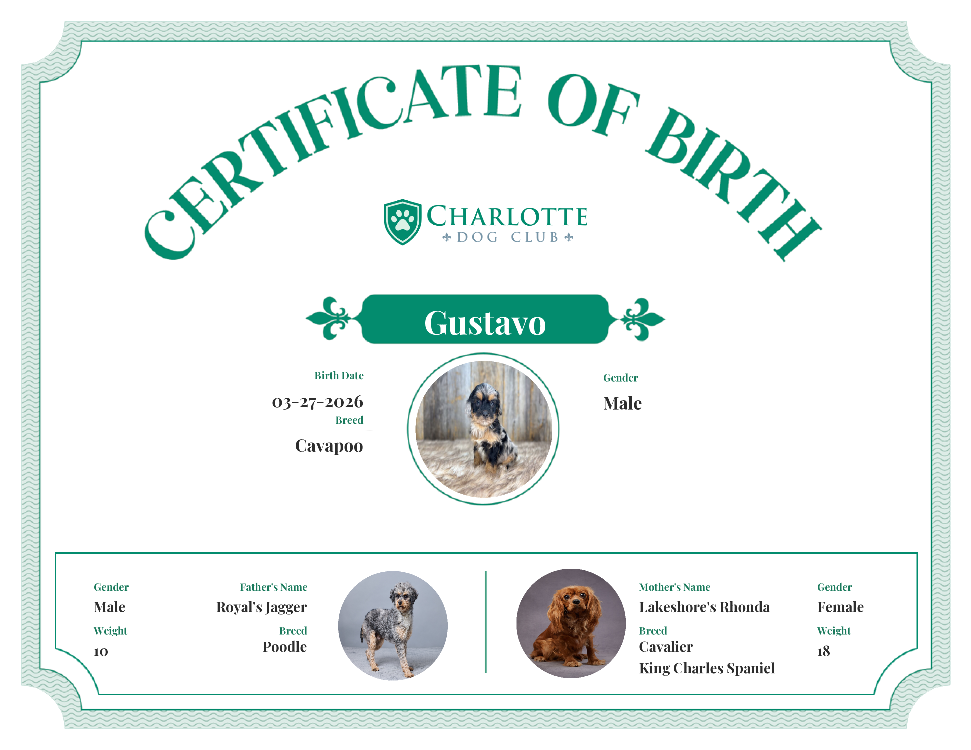 Gustavo's Birth Certificate