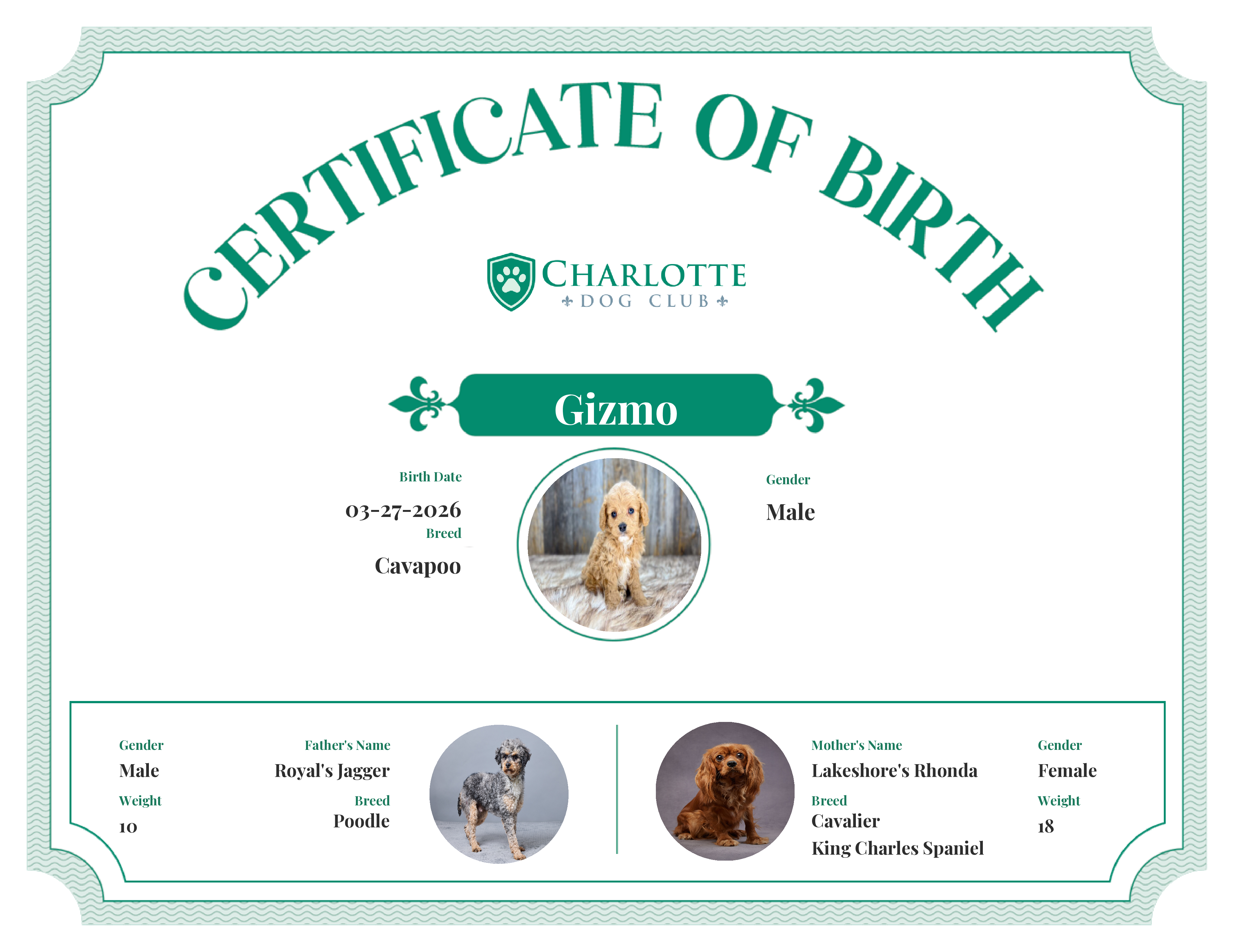 Gizmo's Birth Certificate