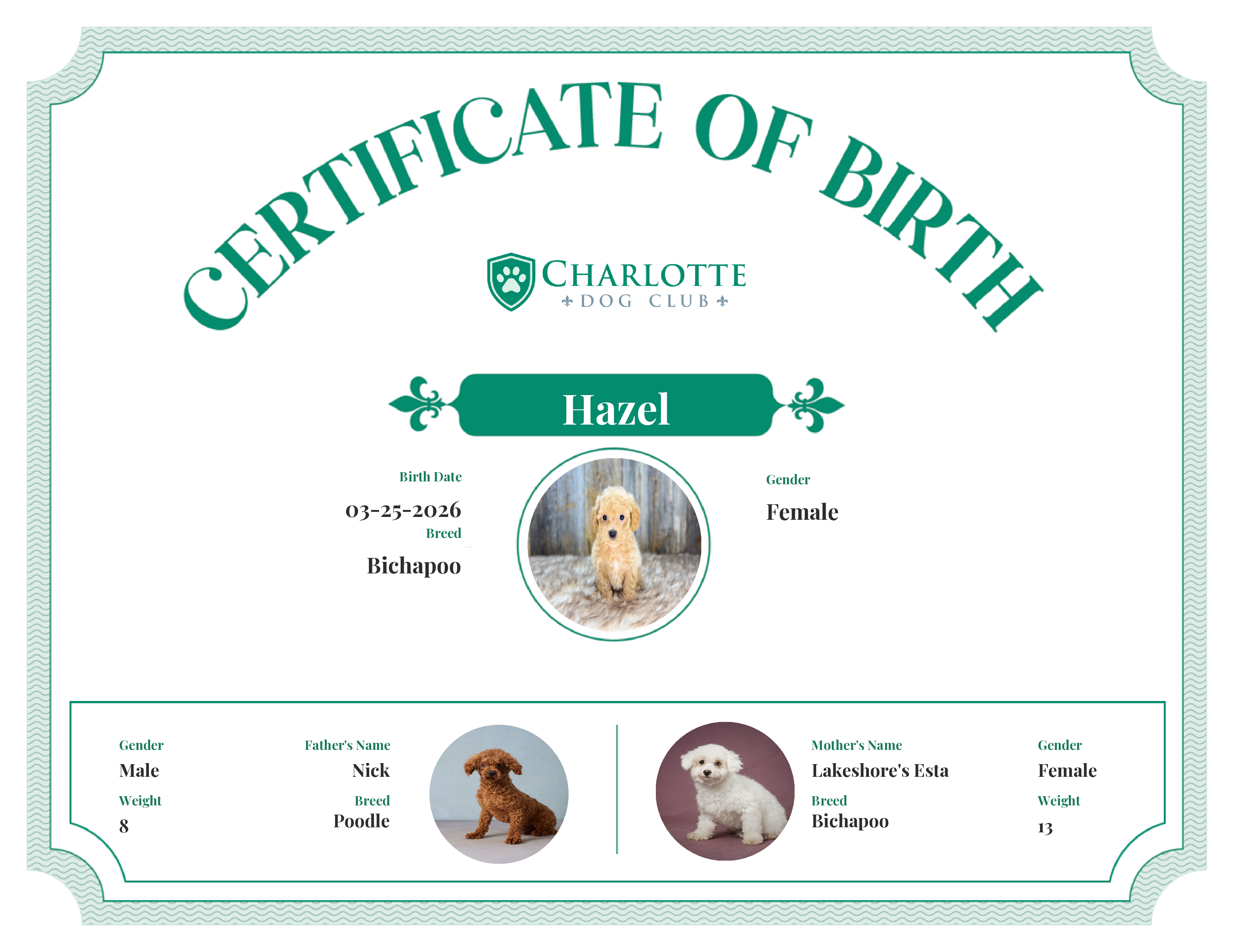 Hazel's Birth Certificate