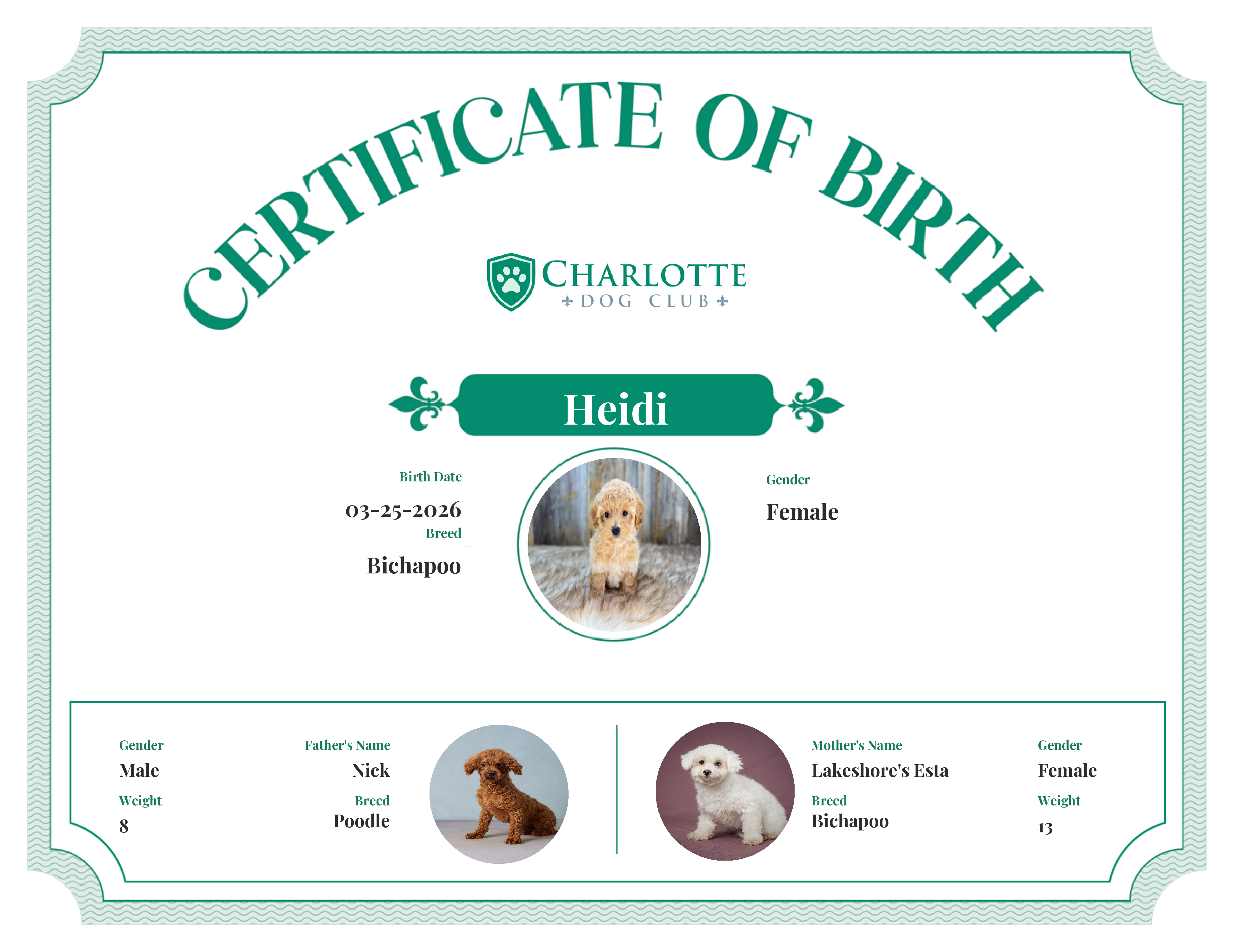 Heidi's Birth Certificate