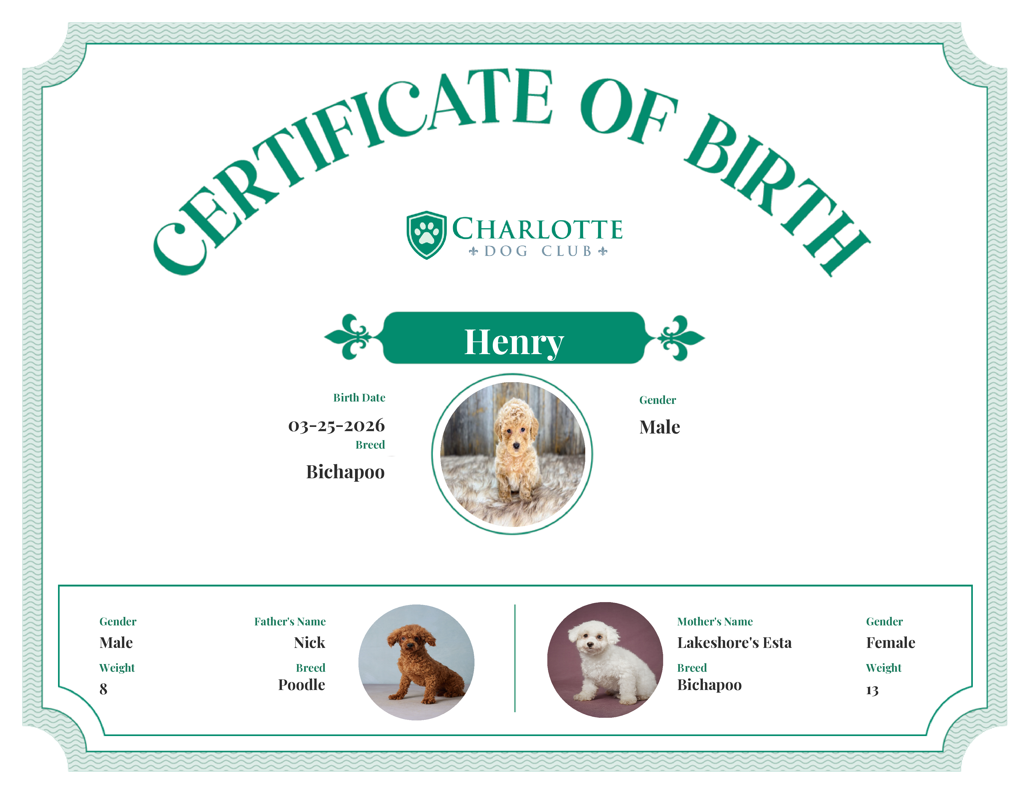 Henry's Birth Certificate