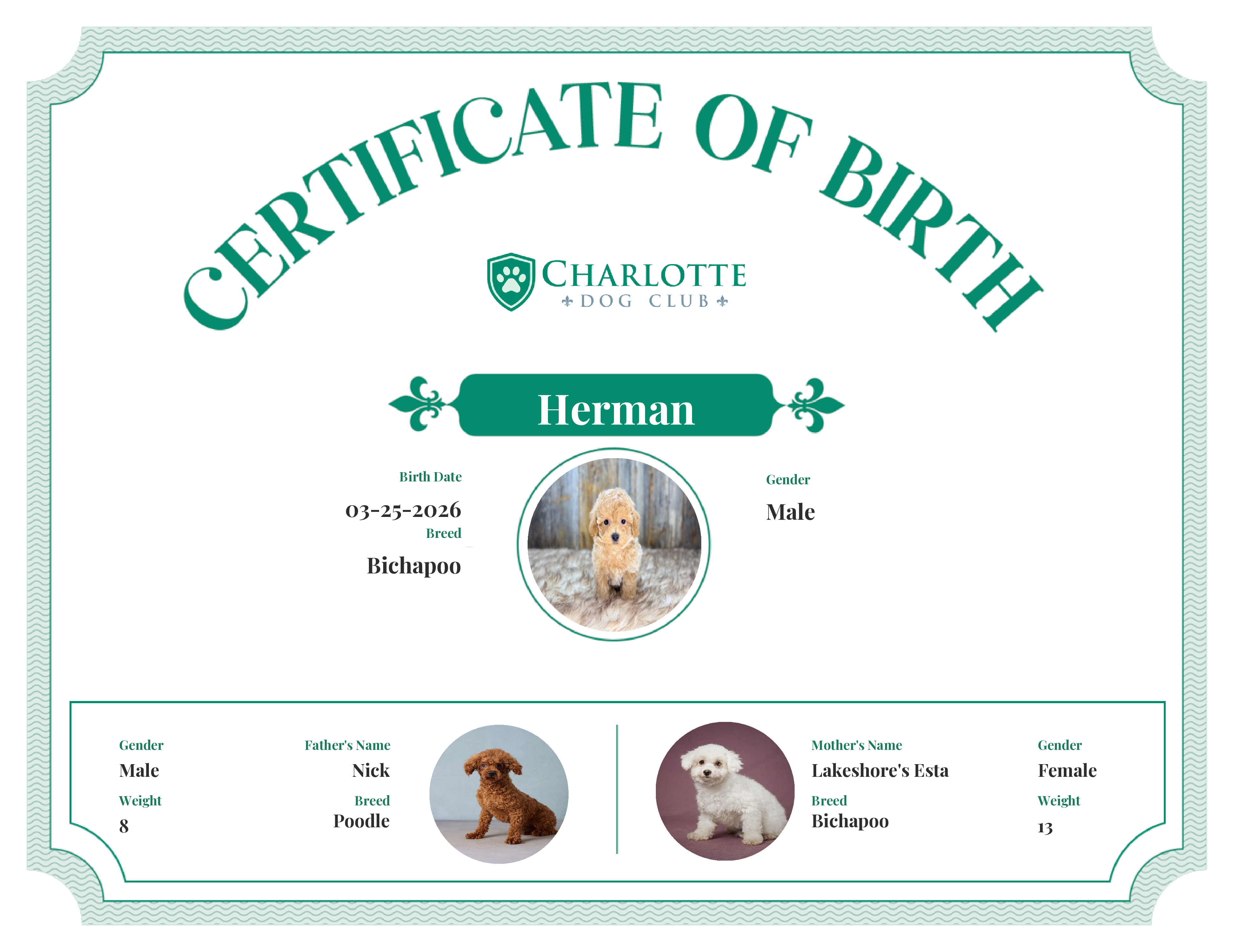 Herman's Birth Certificate