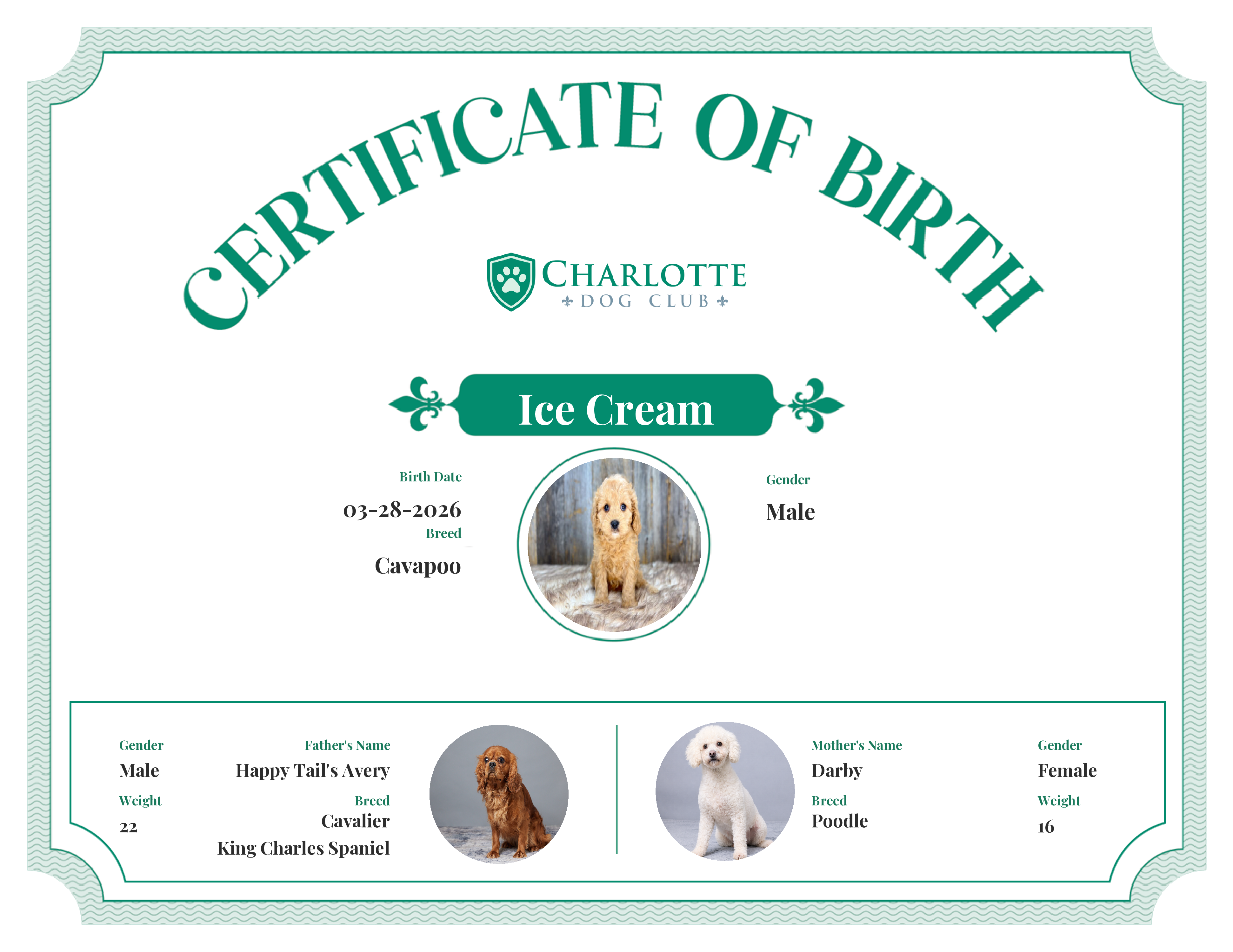 Ice Cream's Birth Certificate