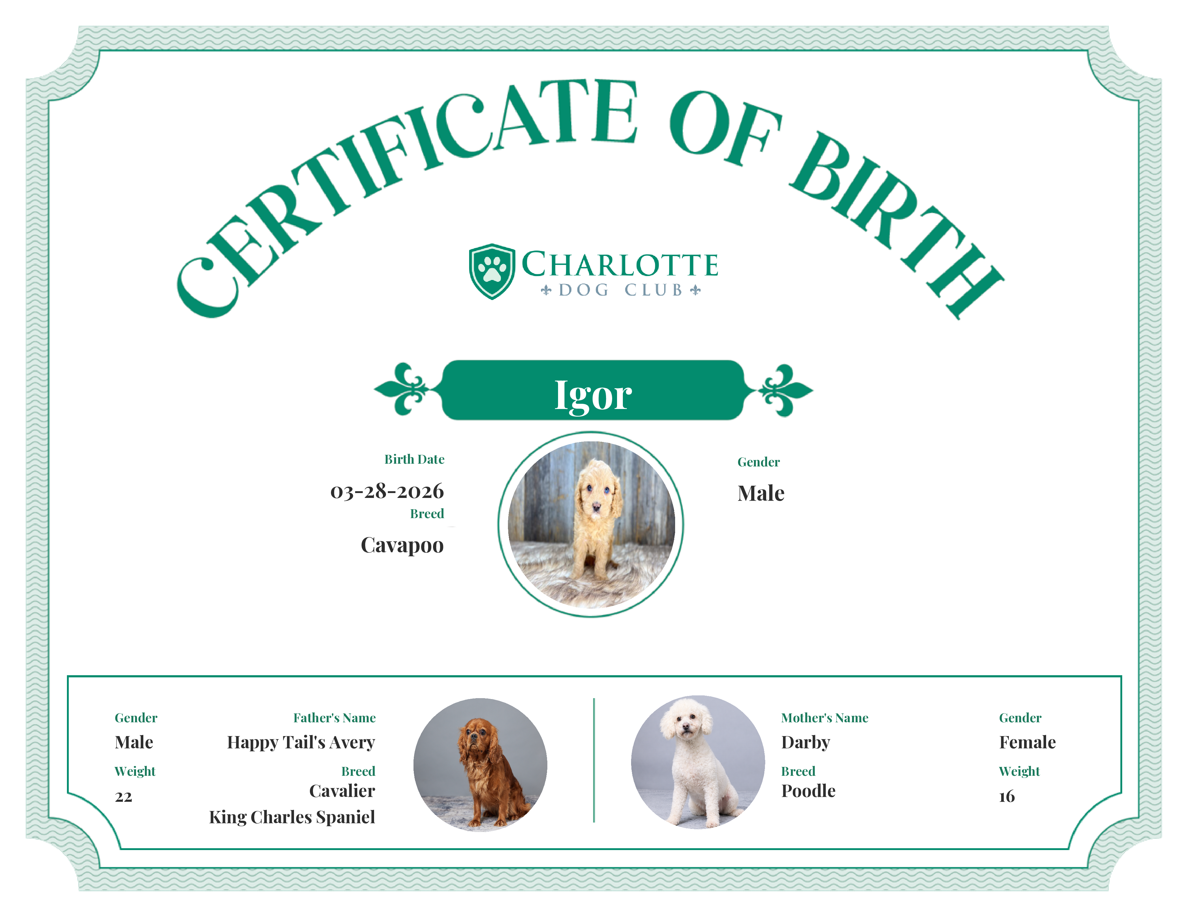 Igor's Birth Certificate