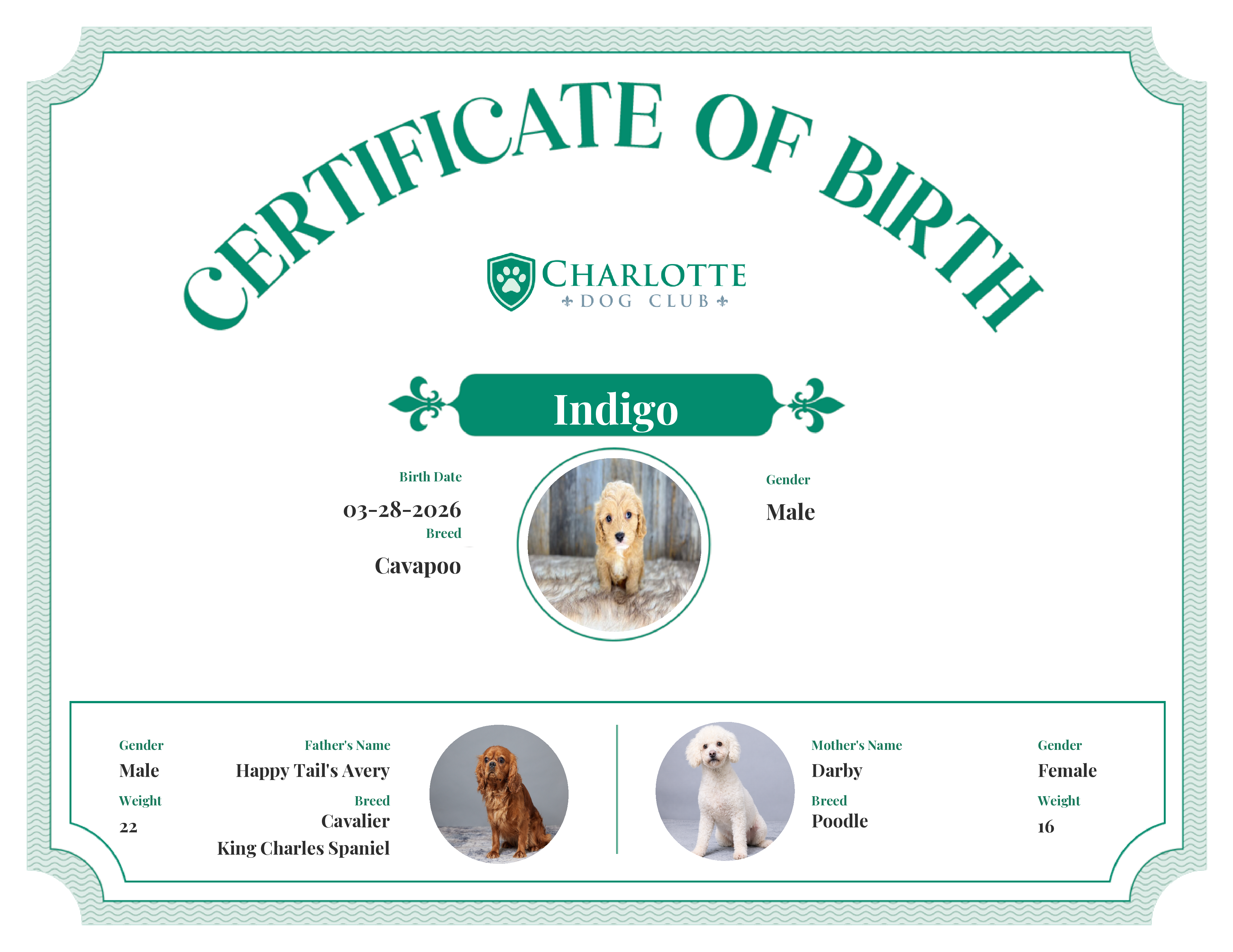 Indigo's Birth Certificate