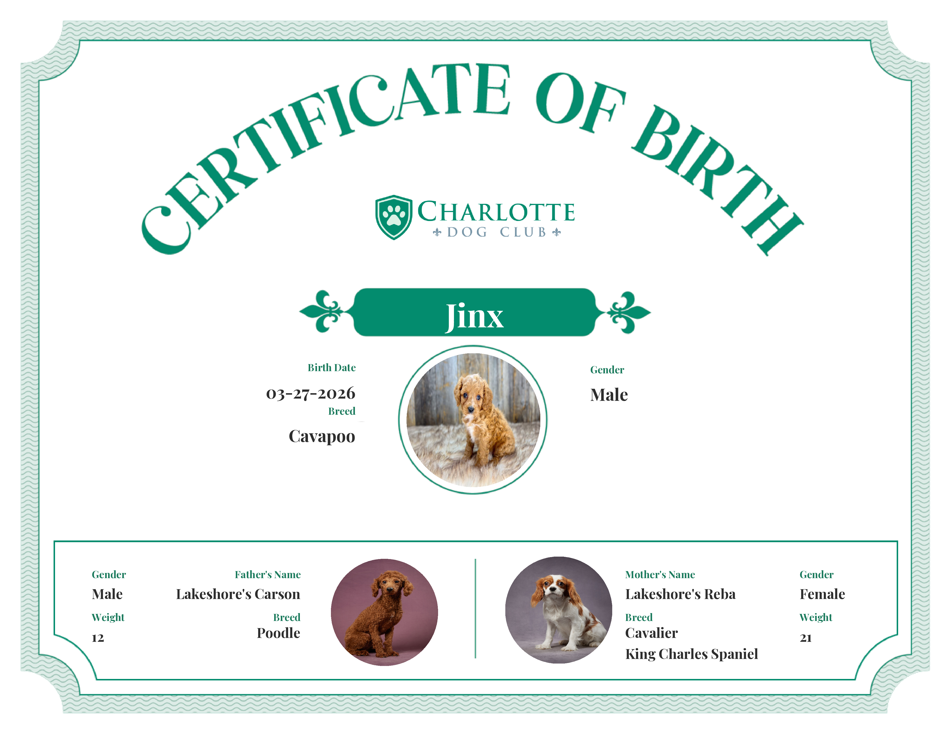 Jinx's Birth Certificate