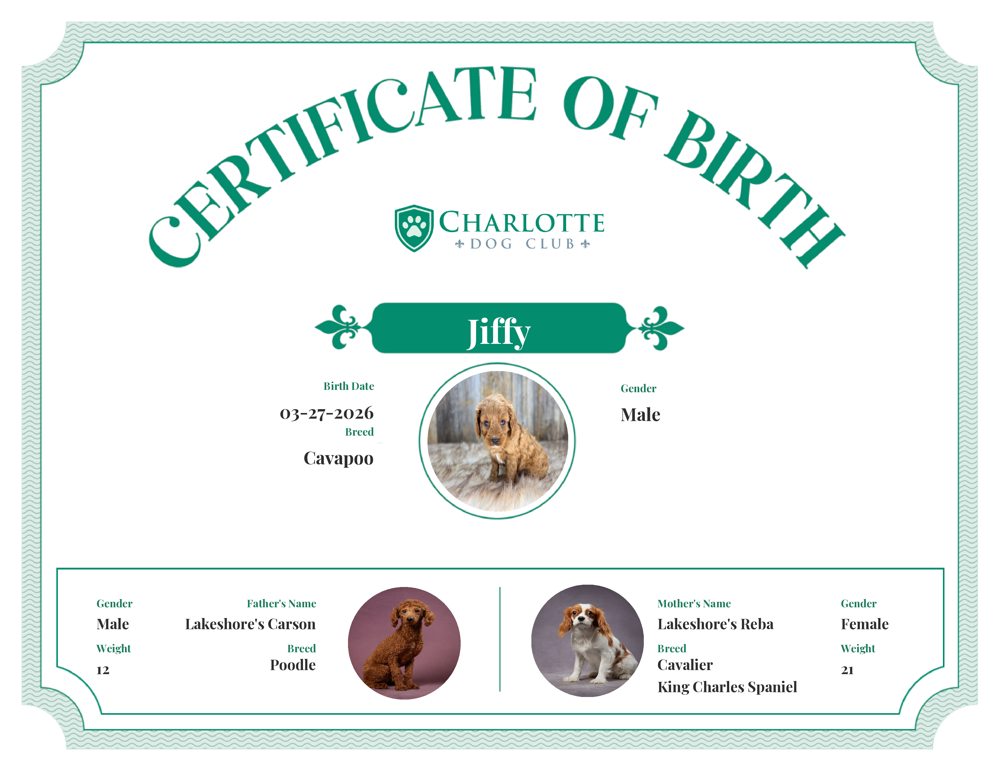 Jiffy's Birth Certificate