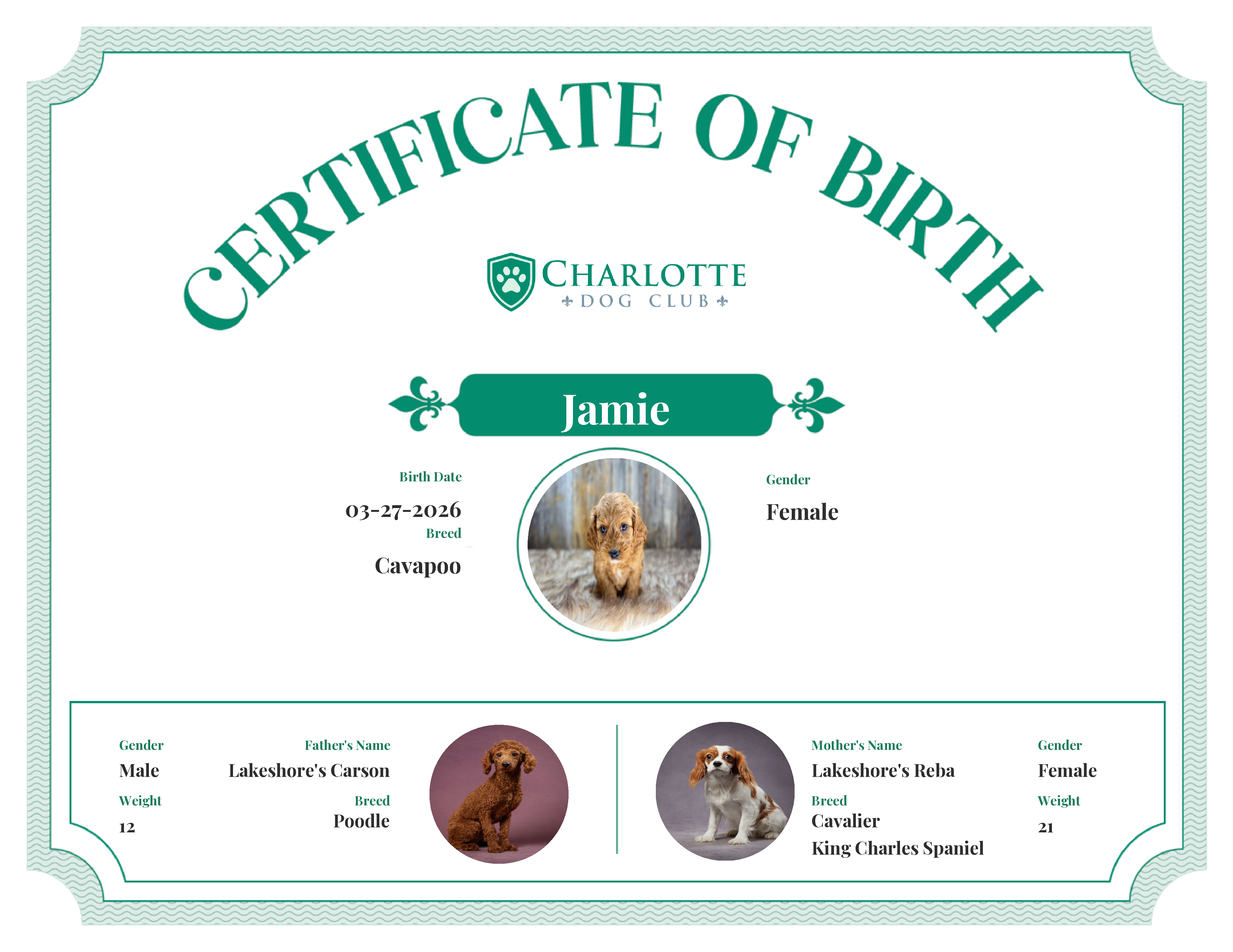 Jamie's Birth Certificate
