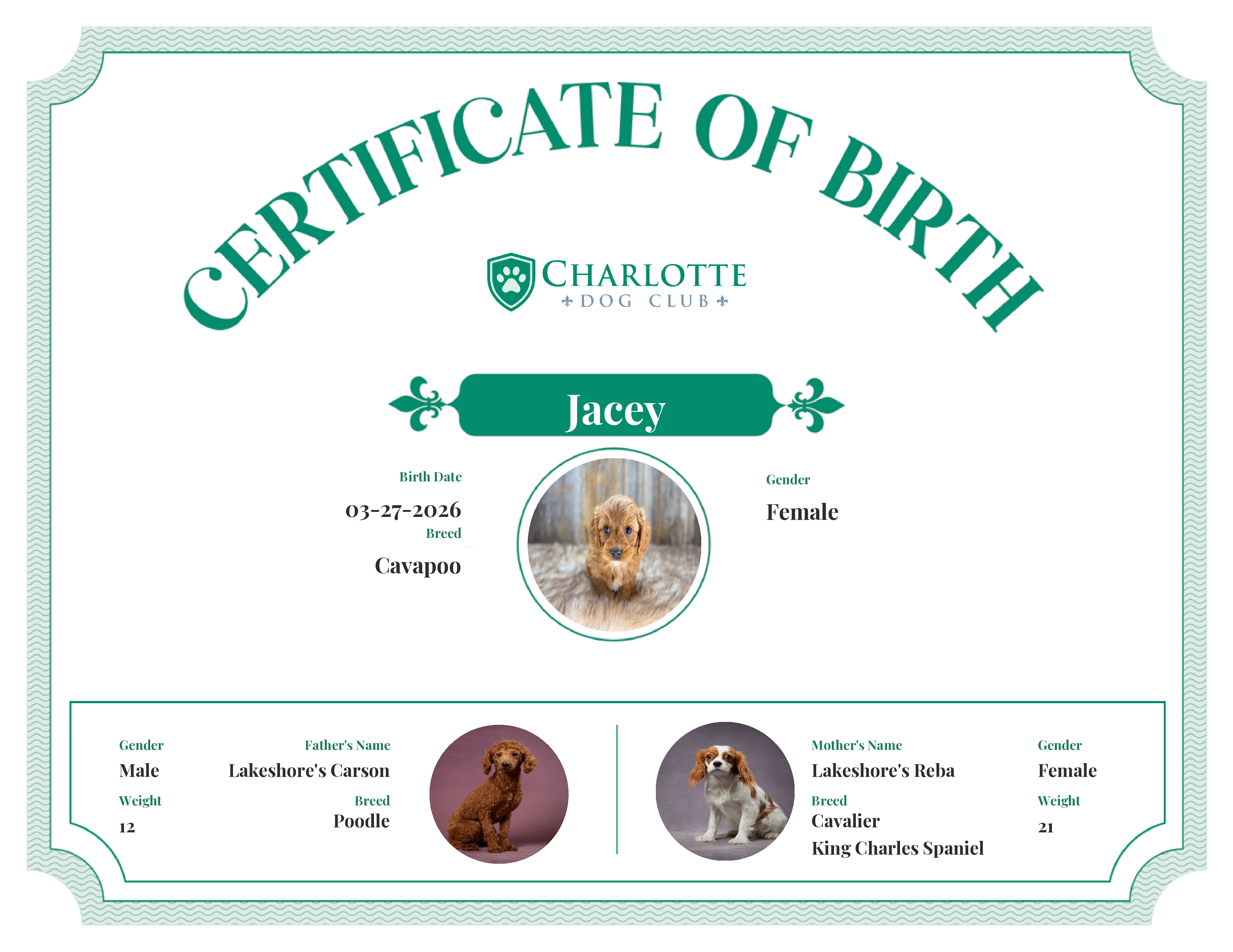 Jacey's Birth Certificate