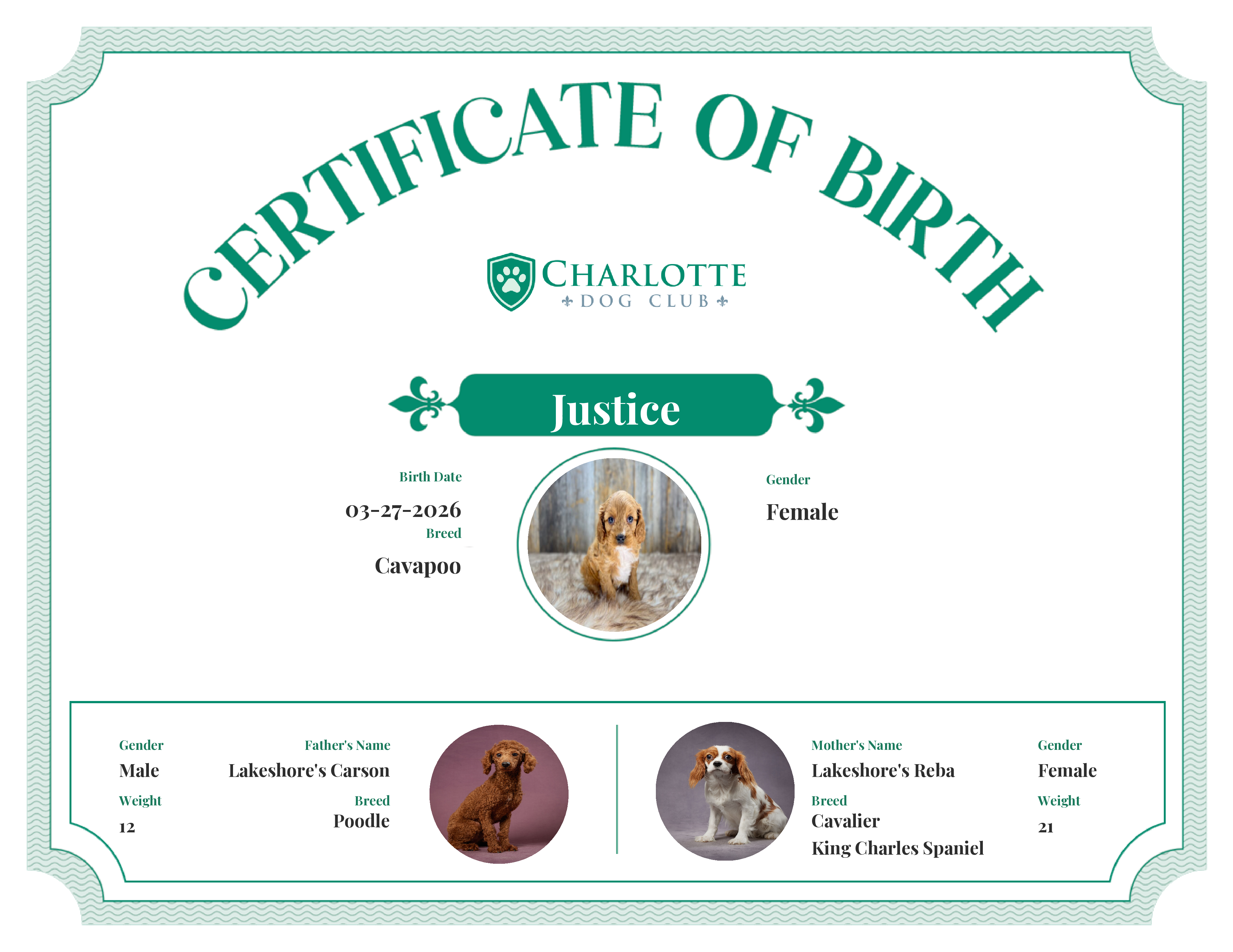 Justice's Birth Certificate