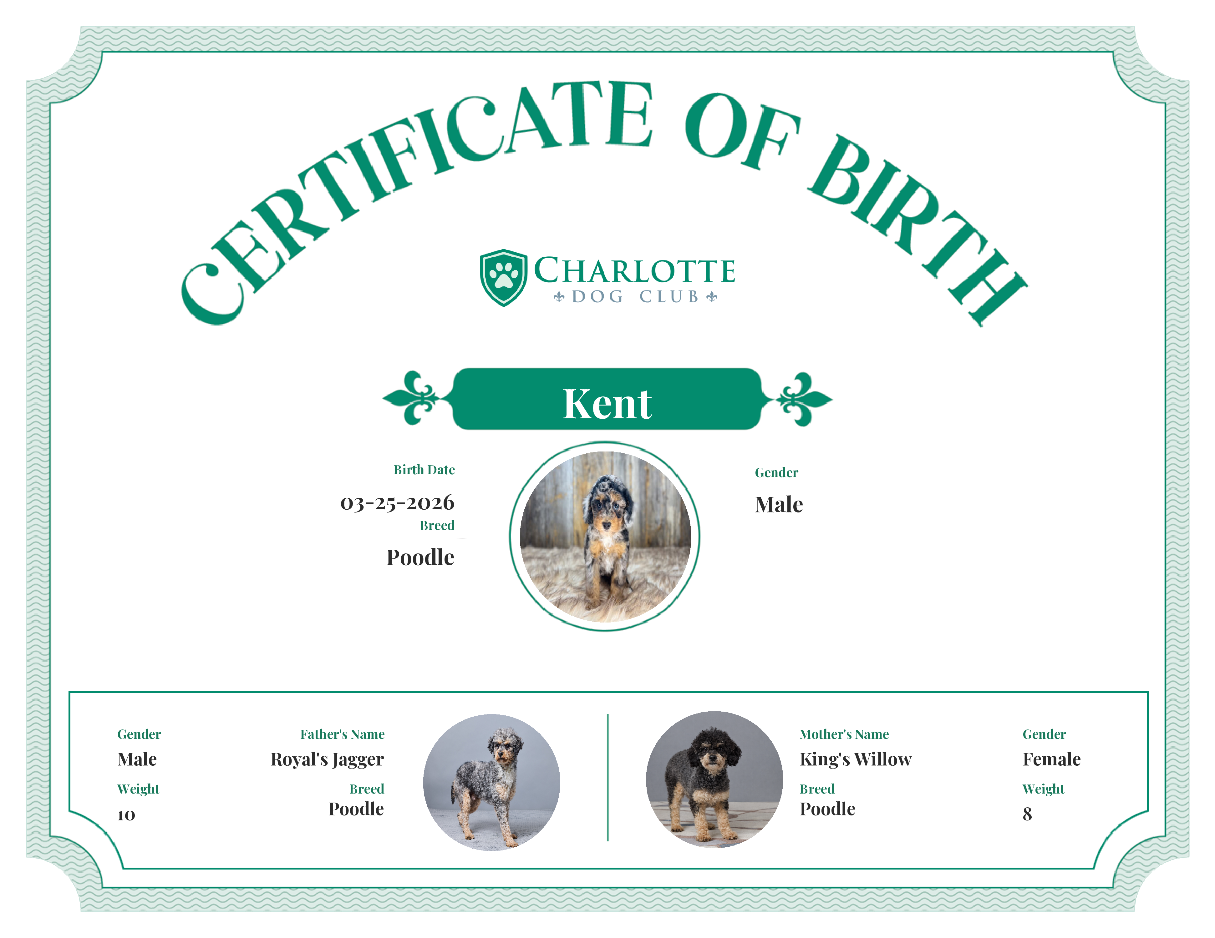 Kent's Birth Certificate