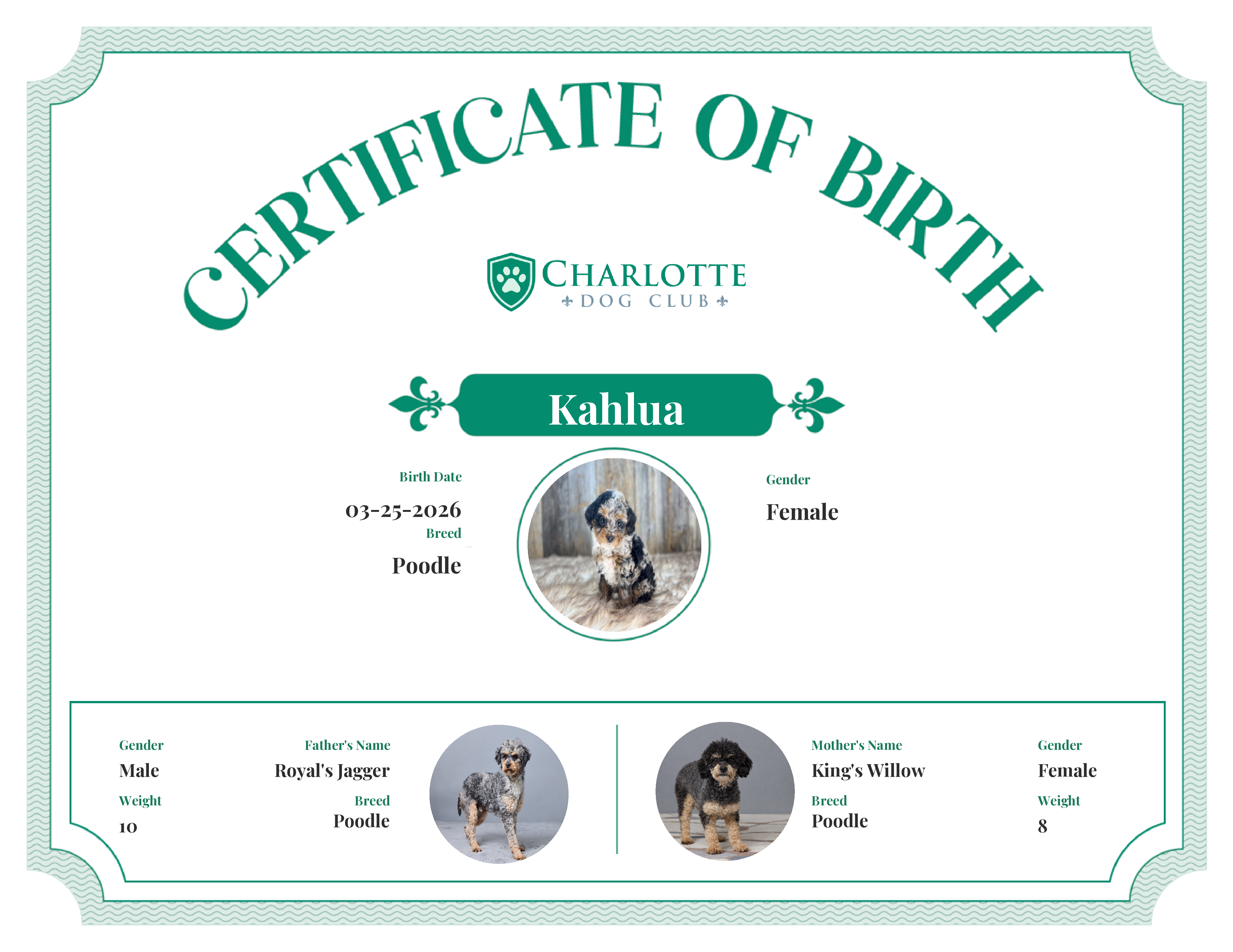 Kahlua's Birth Certificate