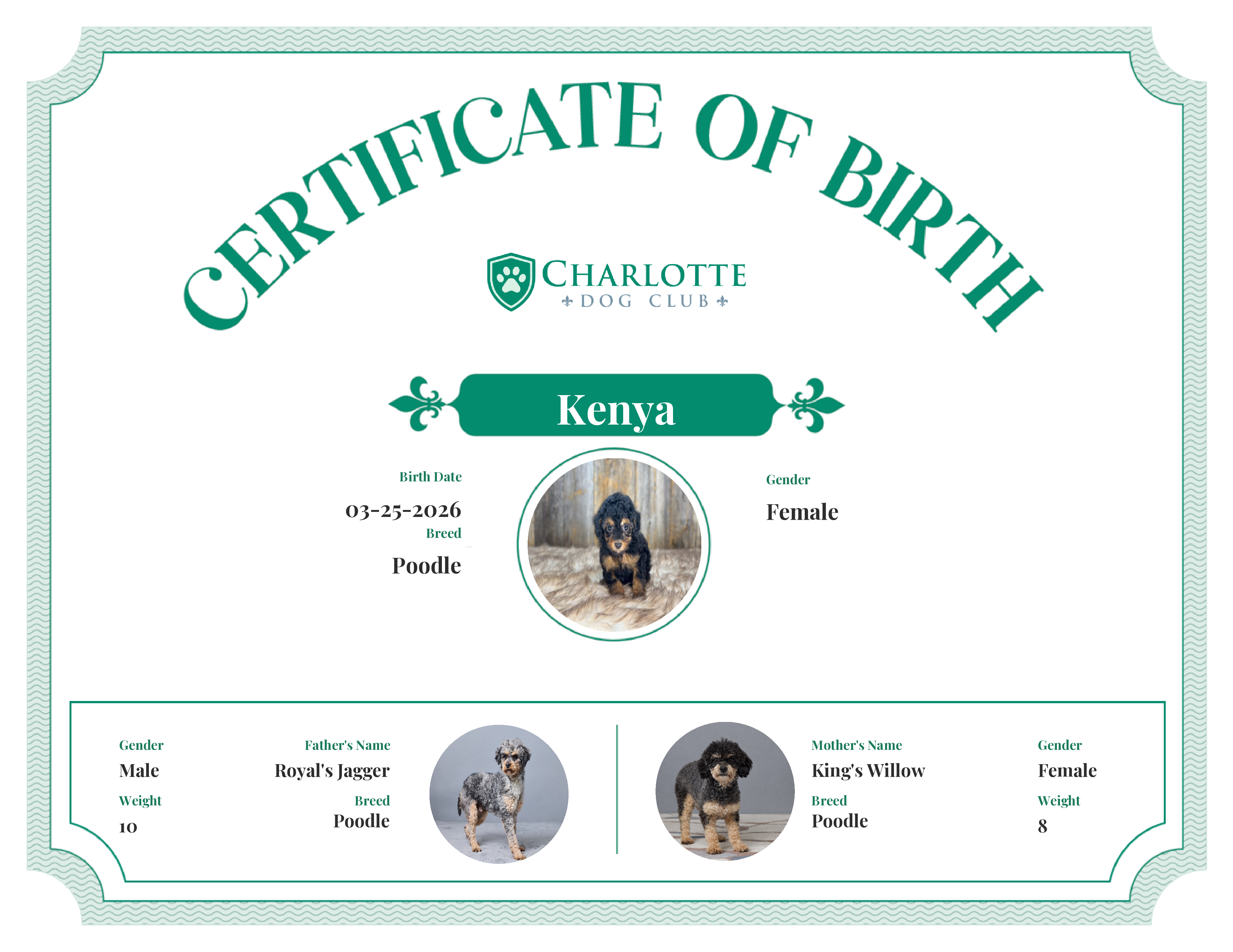 Kenya's Birth Certificate