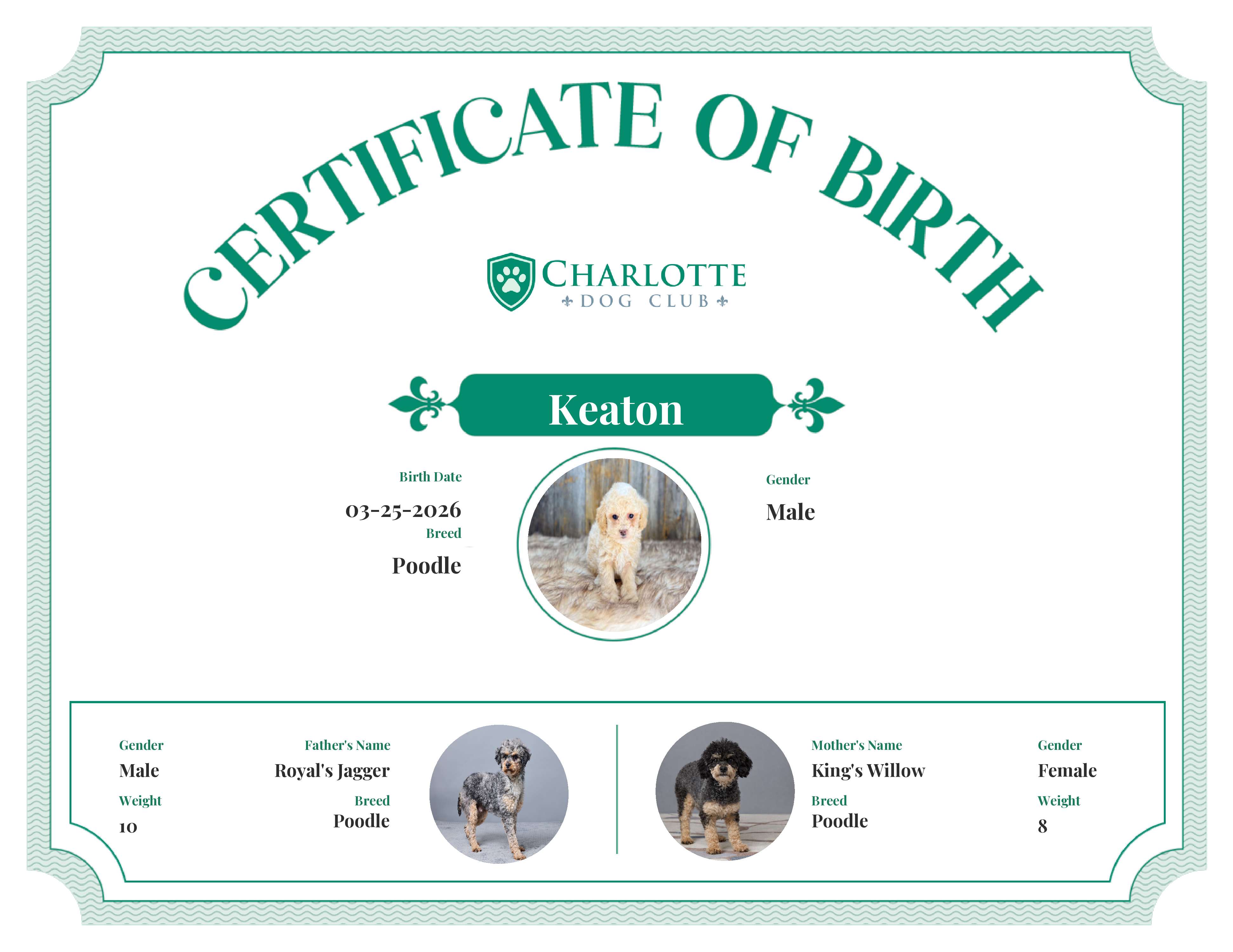 Keaton's Birth Certificate