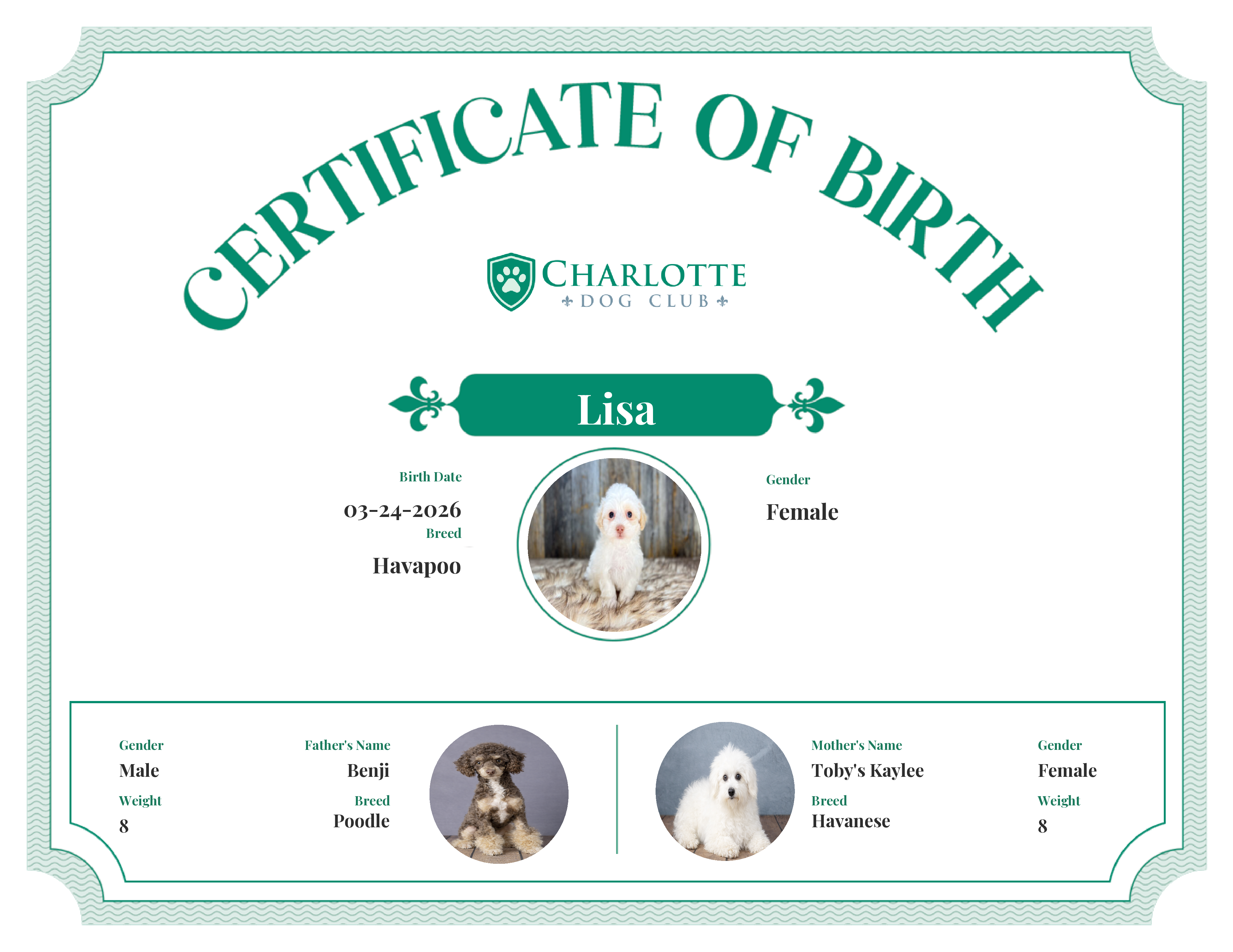Lisa's Birth Certificate