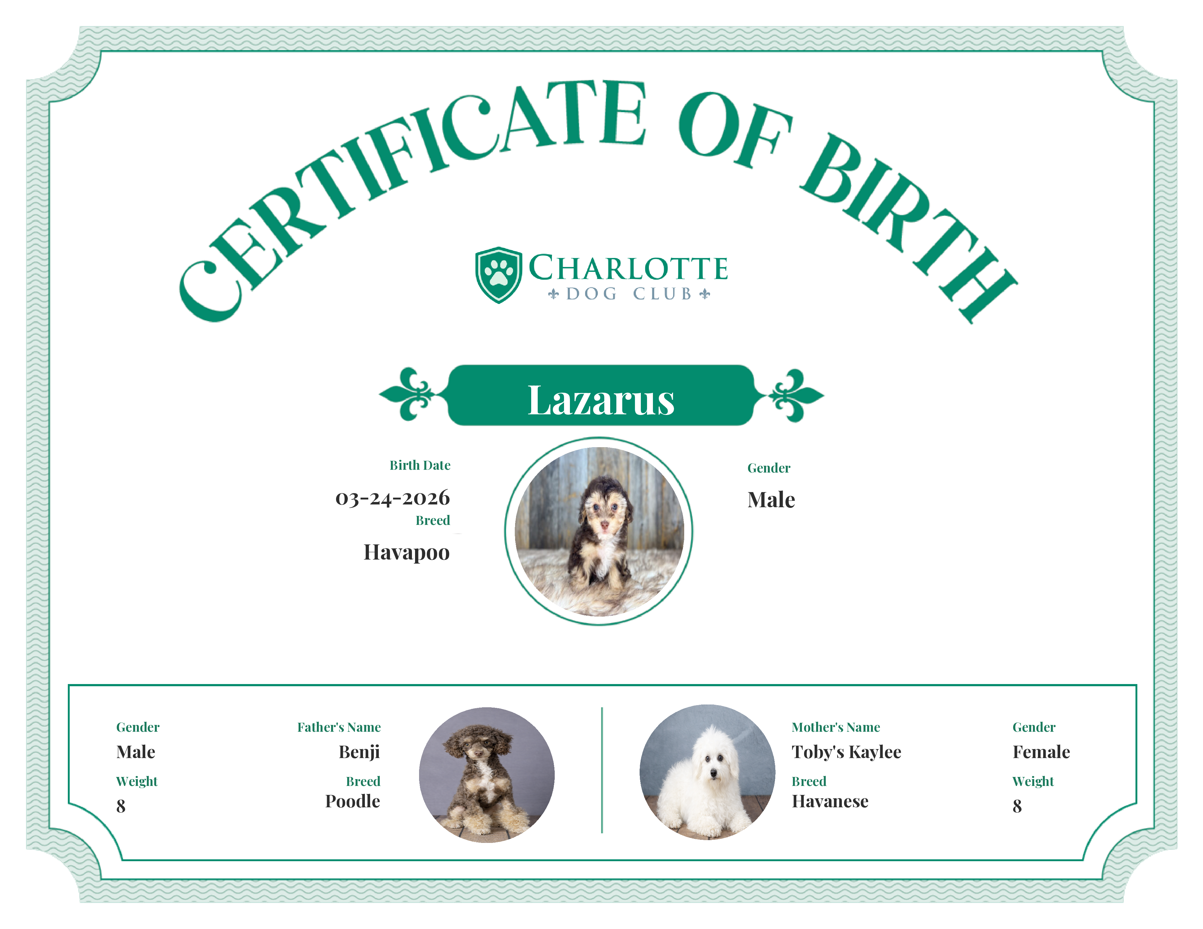 Lazarus's Birth Certificate