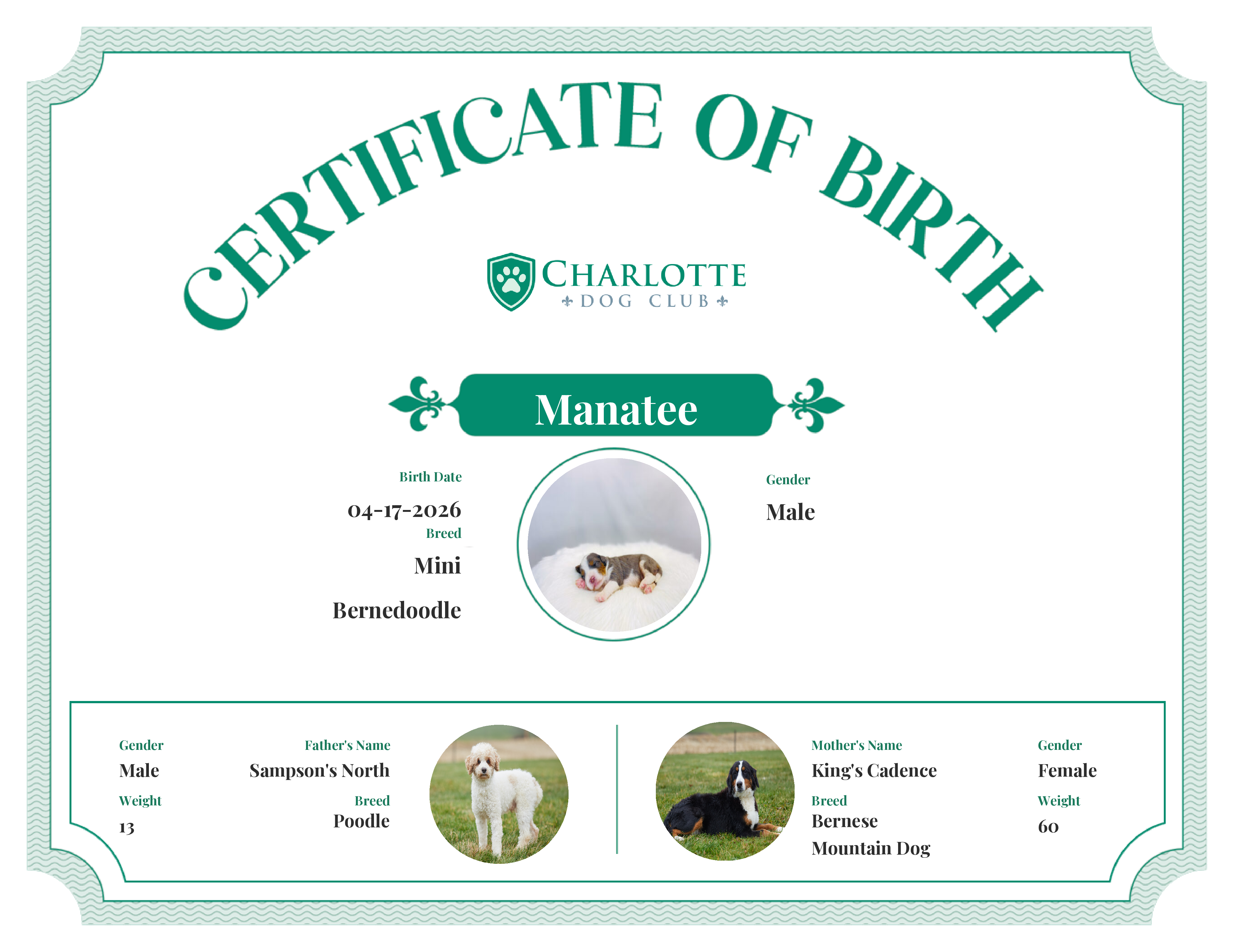 Manatee's Birth Certificate