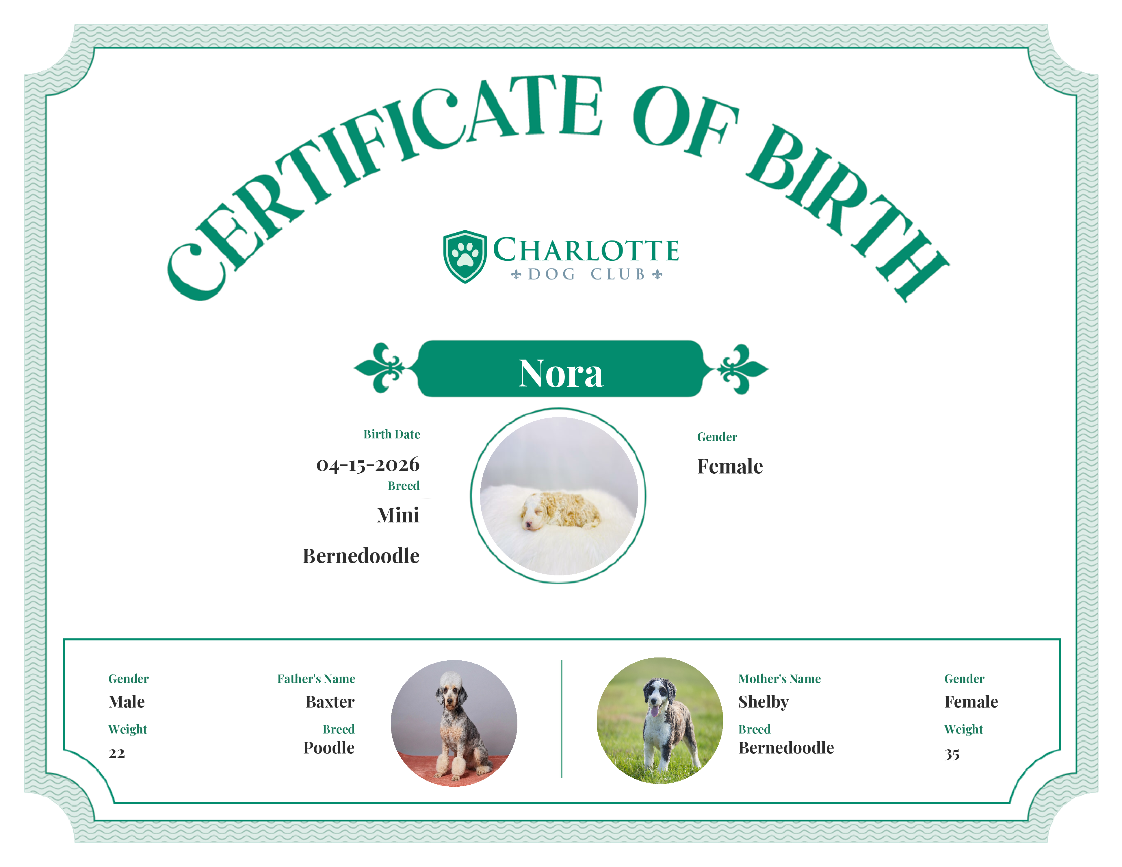Nora's Birth Certificate
