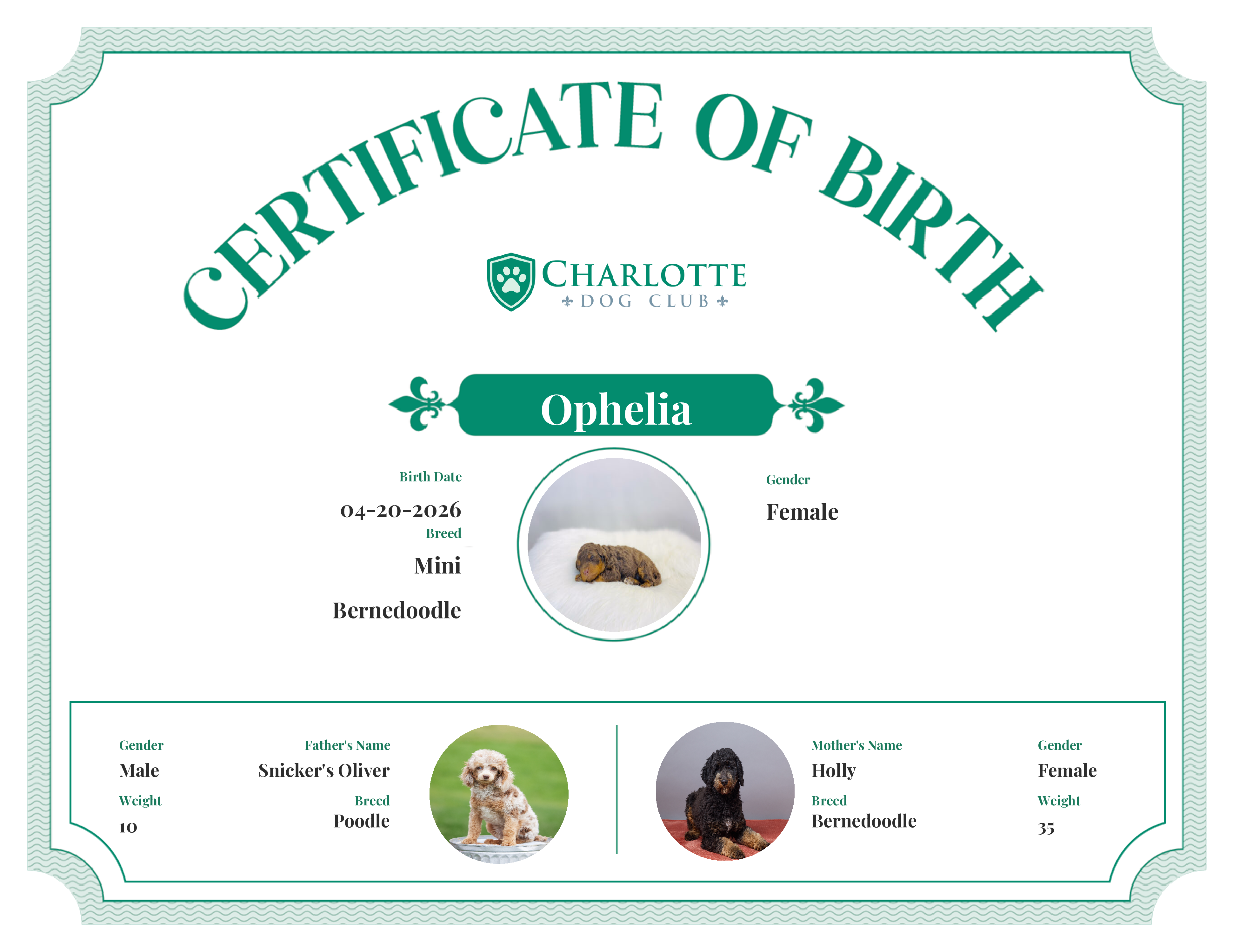 Ophelia's Birth Certificate