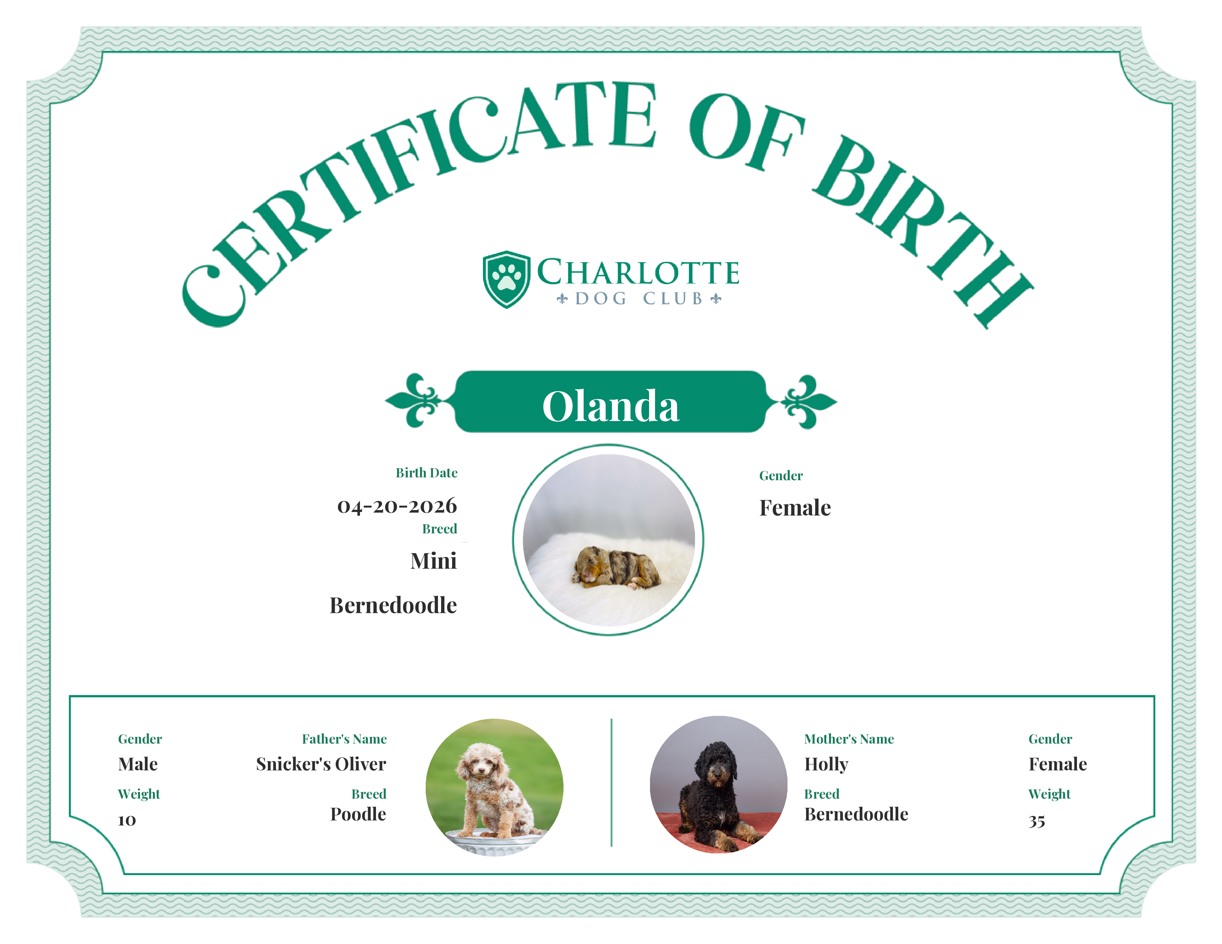 Olanda's Birth Certificate