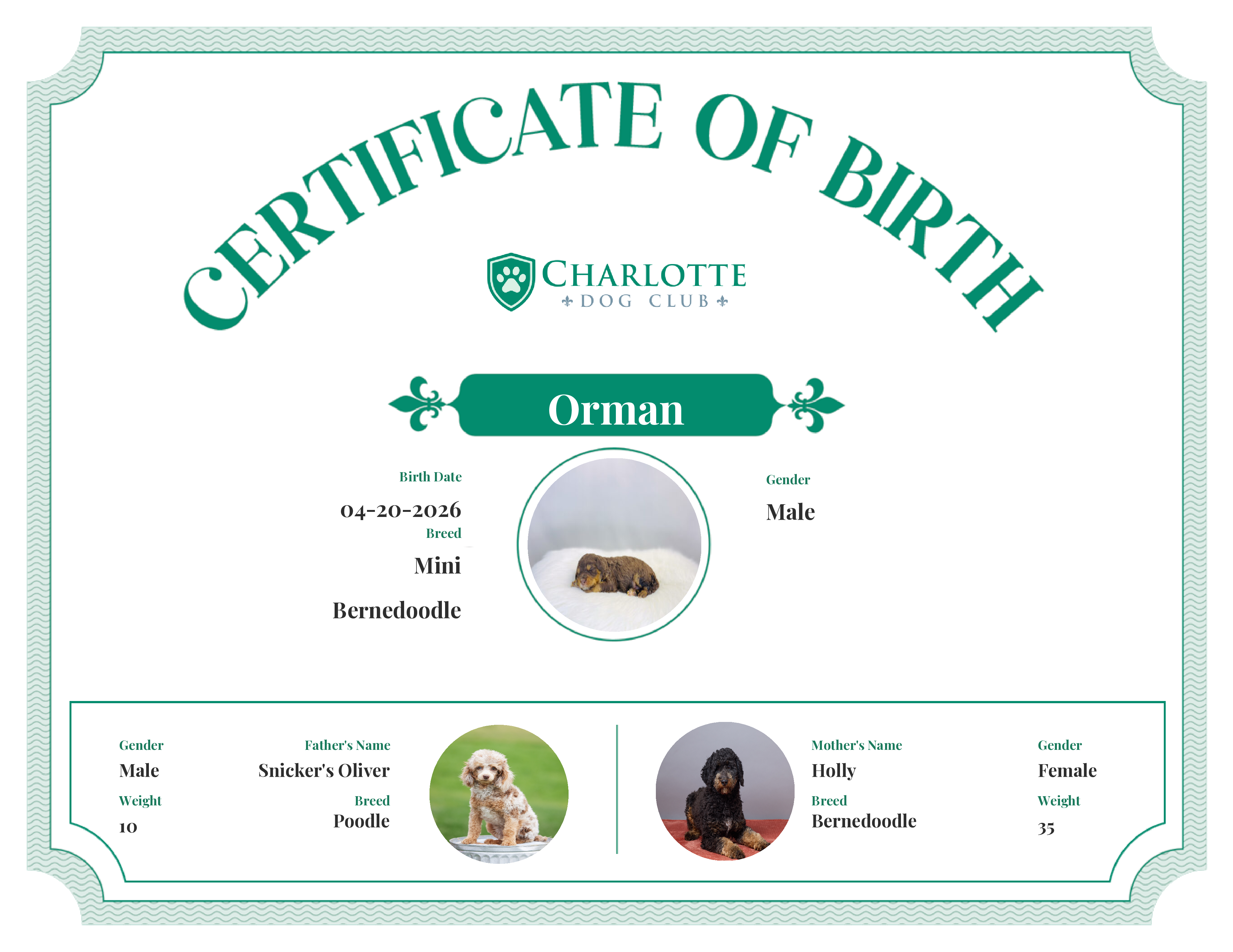 Orman's Birth Certificate